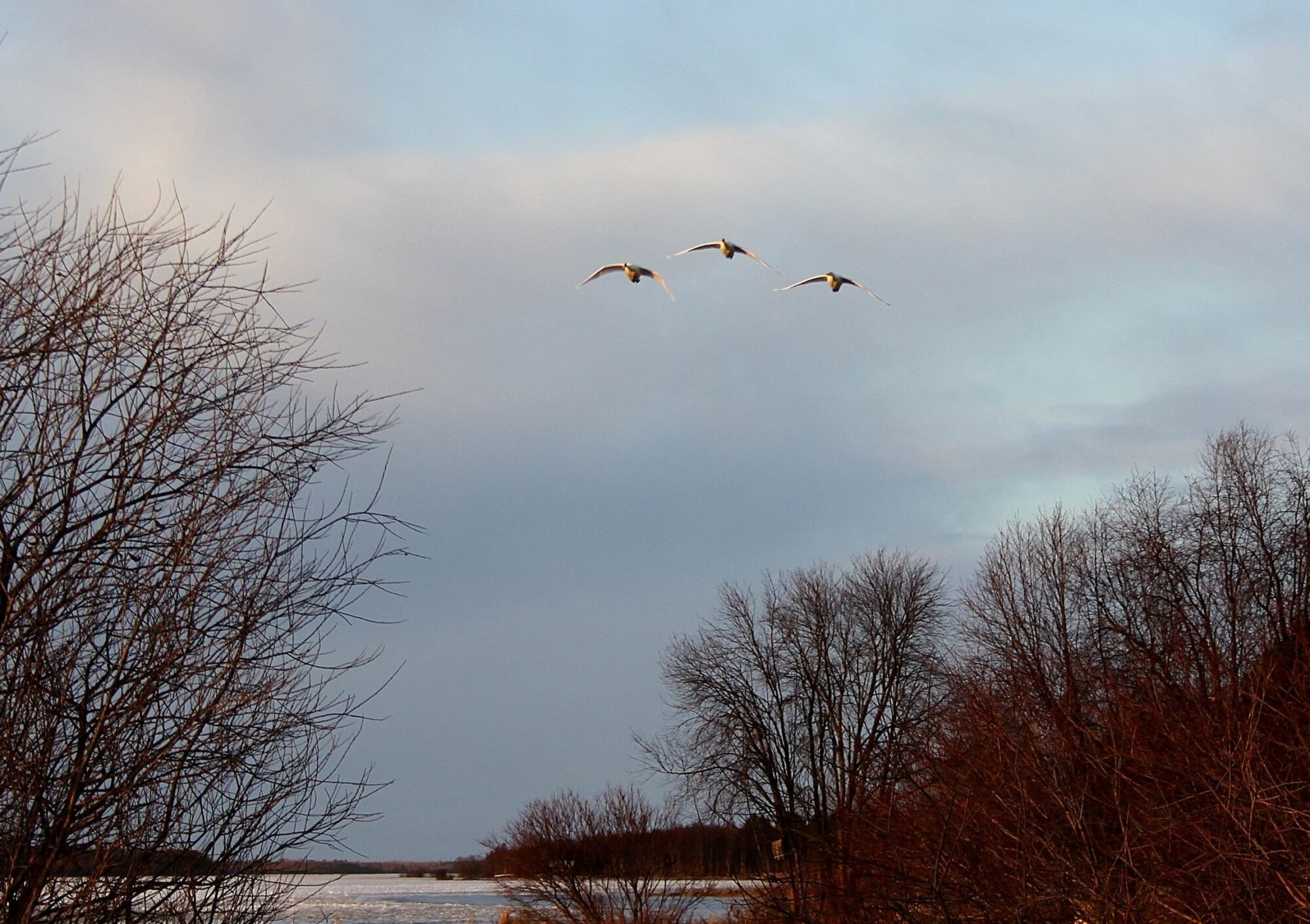 Valokuvaaja: Pirkko Siukonen