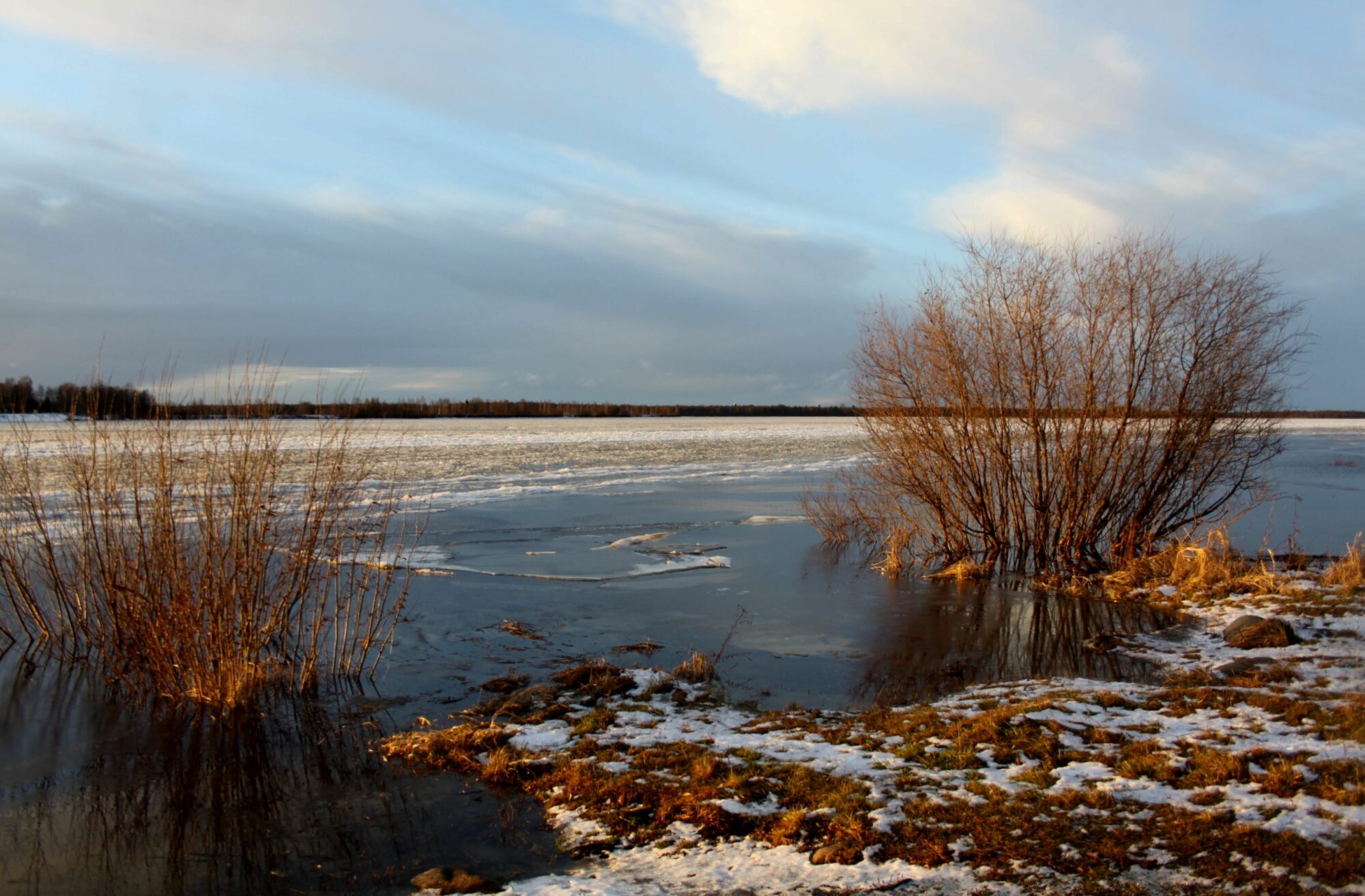 Valokuvaaja: Pirkko Siukonen