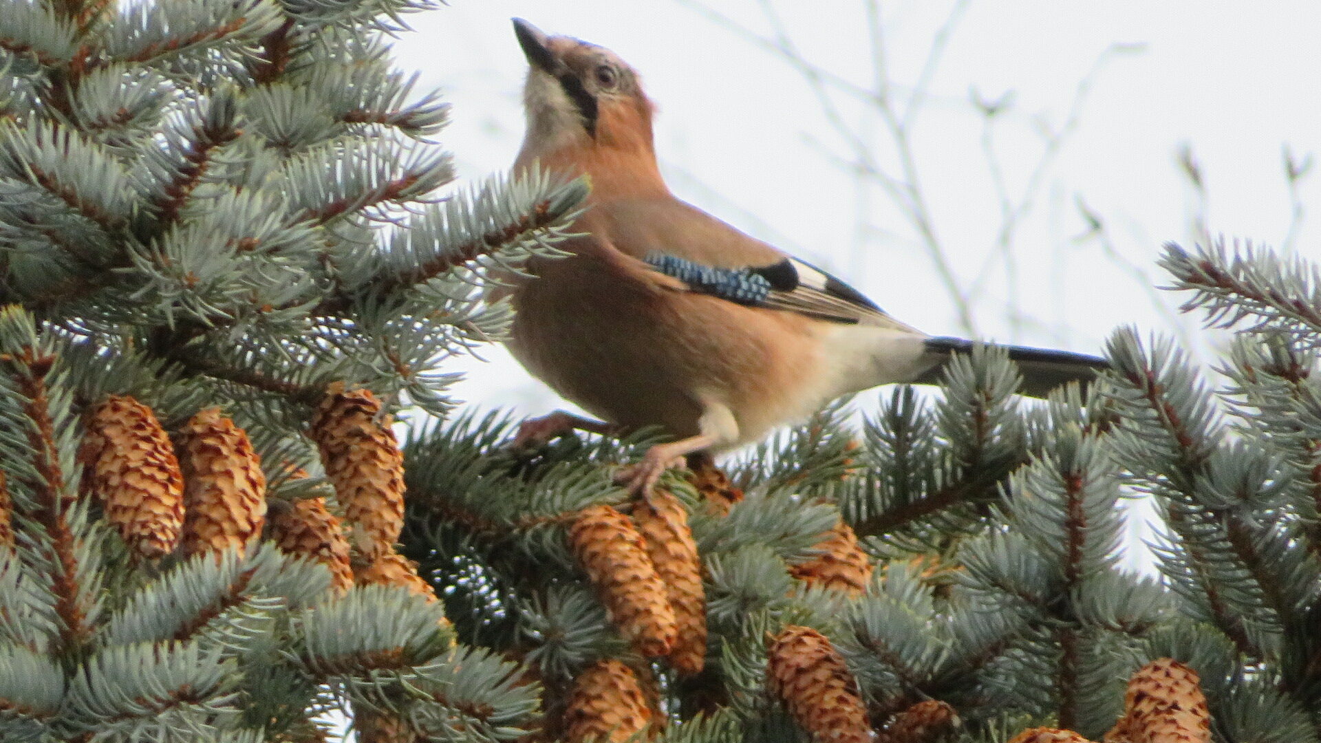 Valokuvaaja: Risto Kangassalo