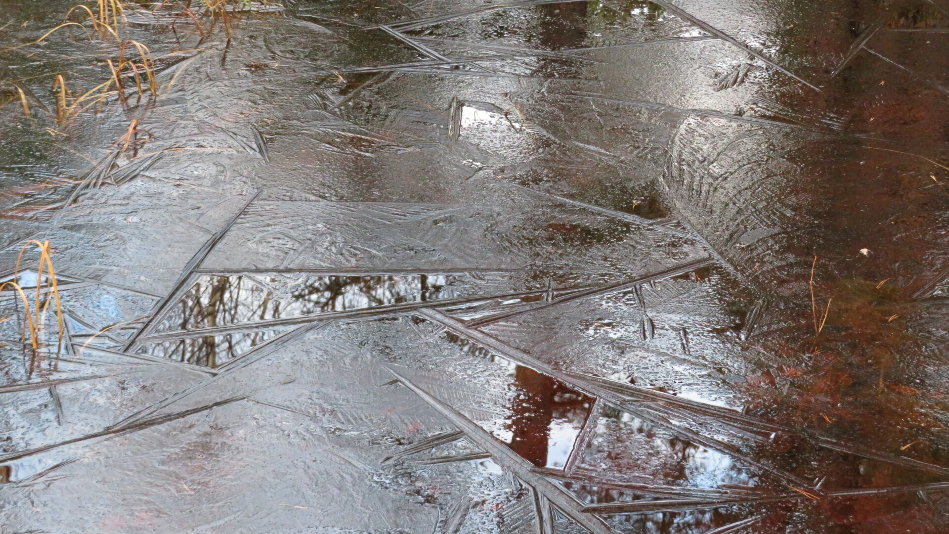 Valokuvaaja: Risto Kangassalo