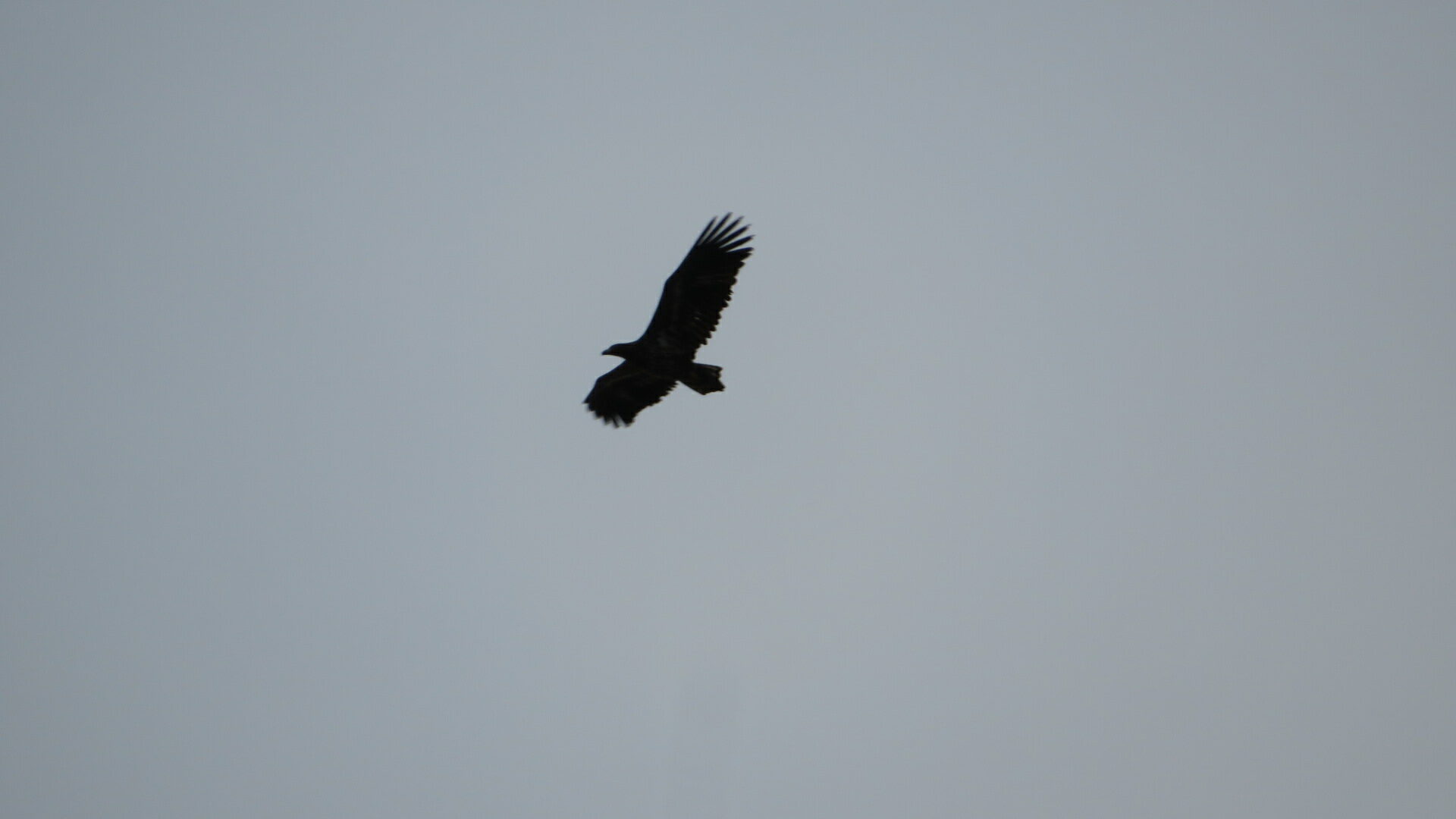 Valokuvaaja: Risto Kangassalo