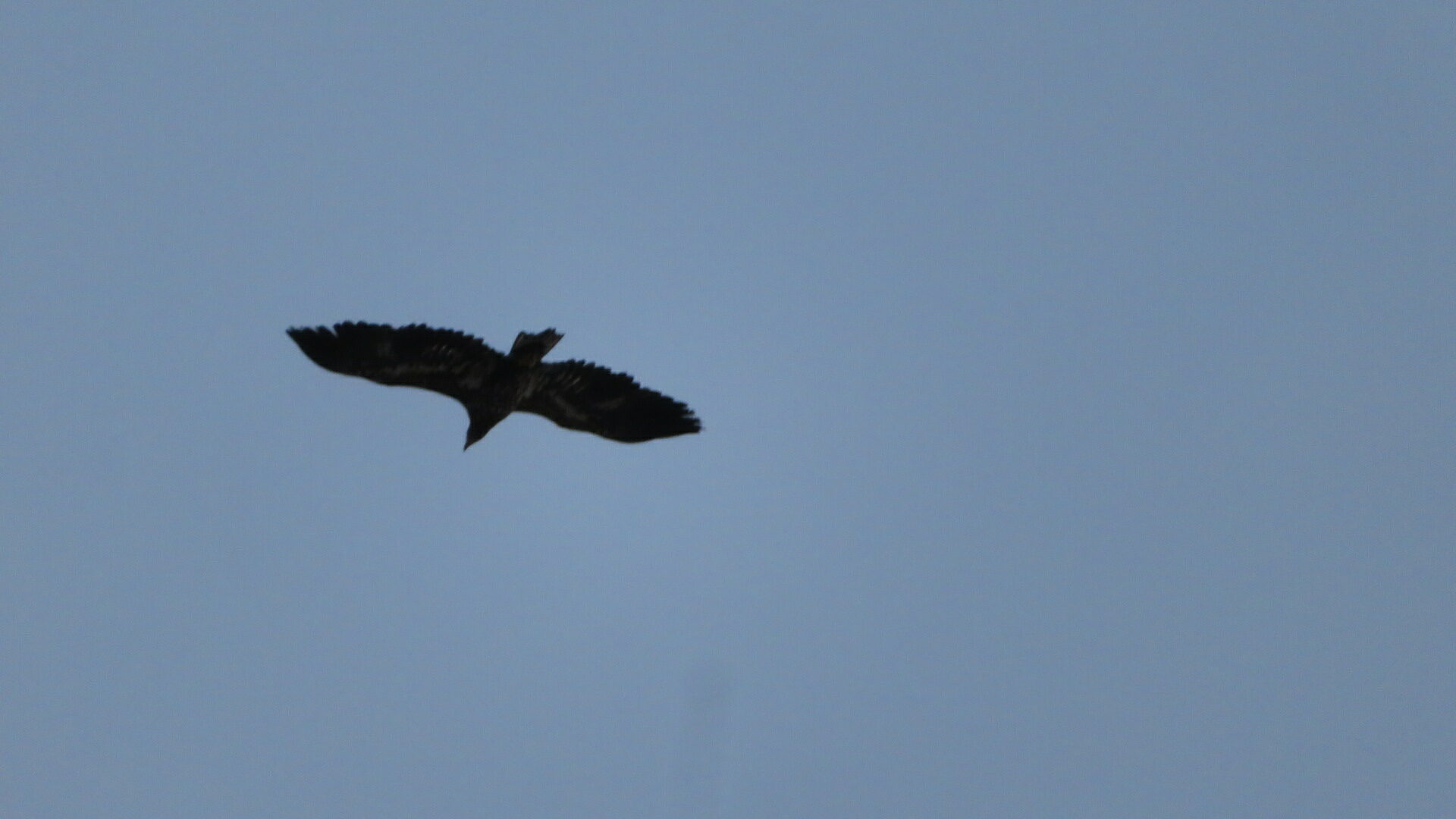 Valokuvaaja: Risto Kangassalo