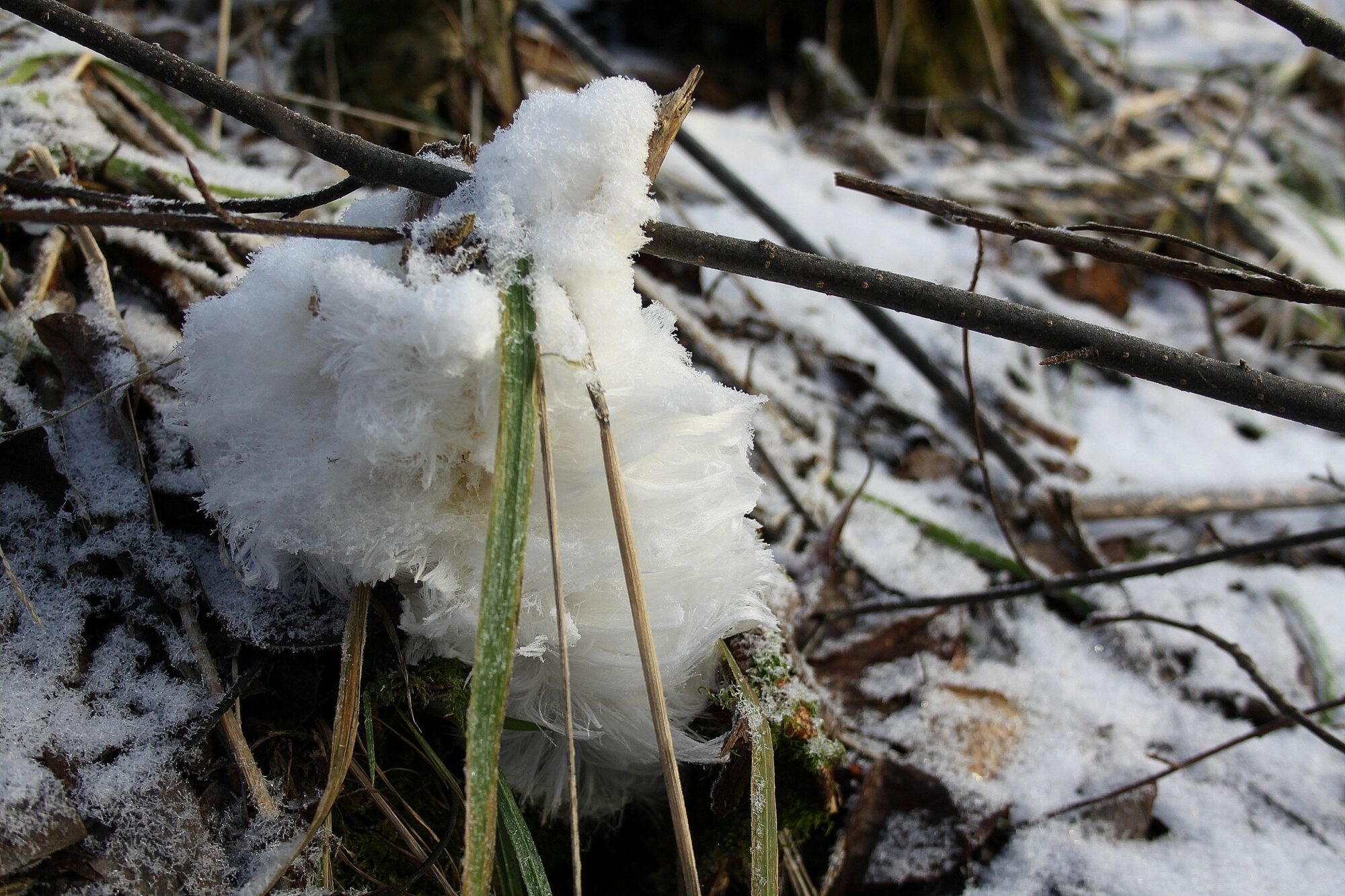 Valokuvaaja: Pirkko Siukonen