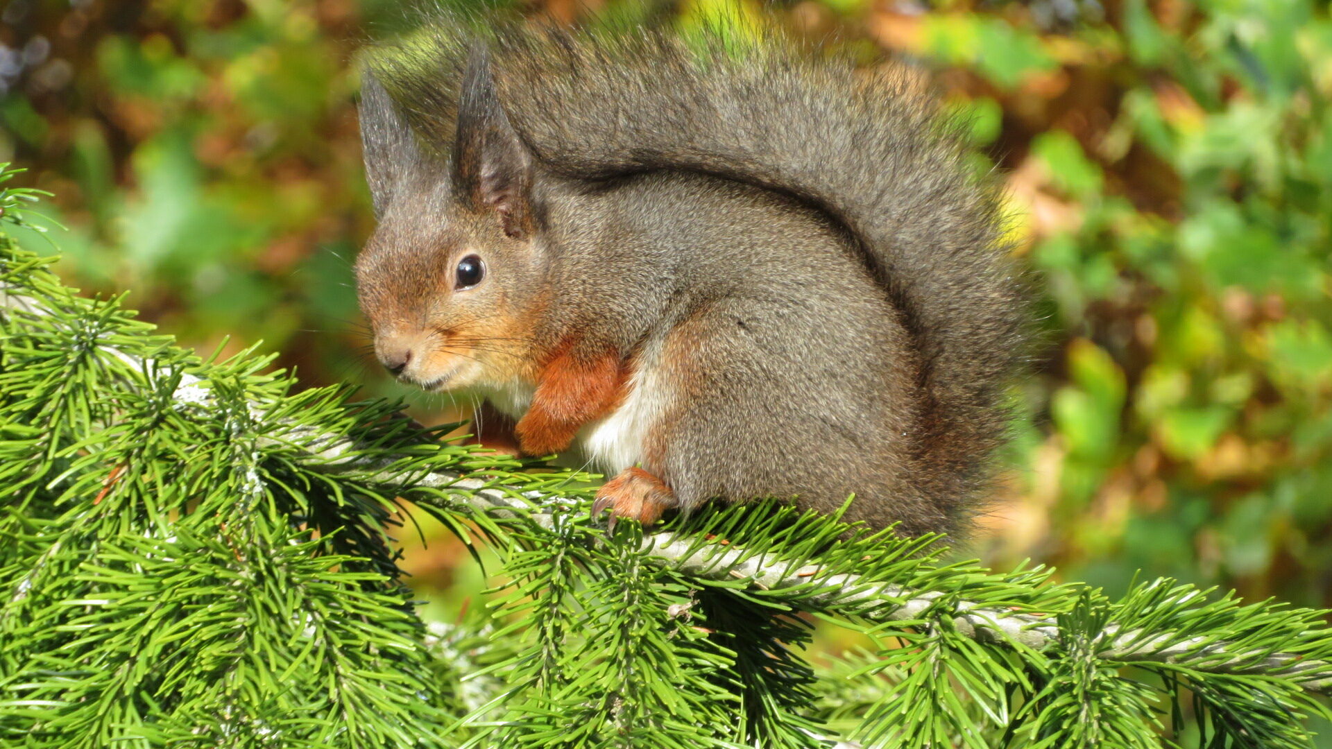 Valokuvaaja: Risto Kangassalo