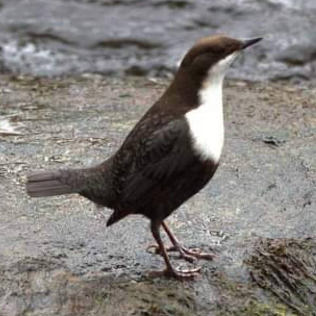 Valokuvaaja: Tapio Keinonen