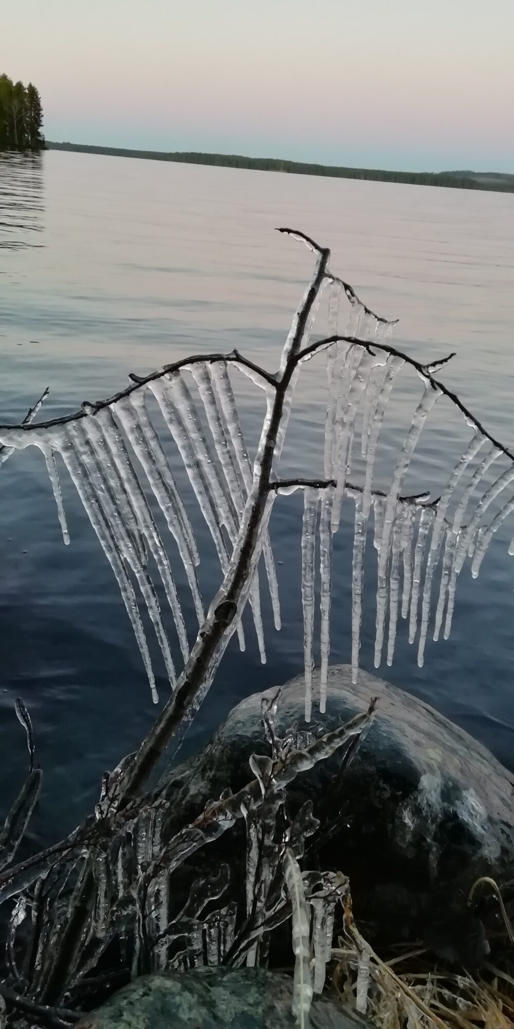 Valokuvaaja: Sari Viemerö