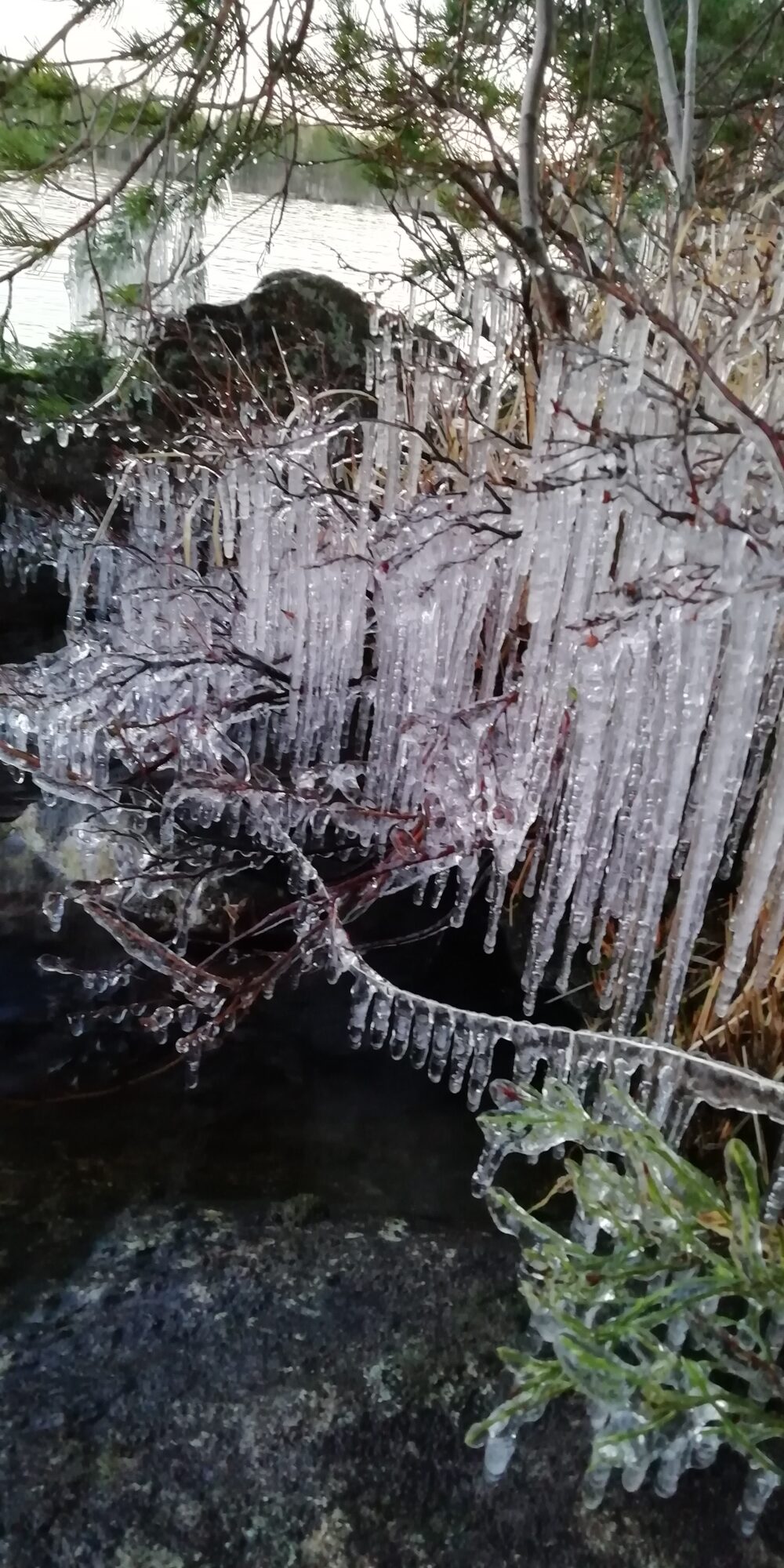 Valokuvaaja: Sari Viemerö