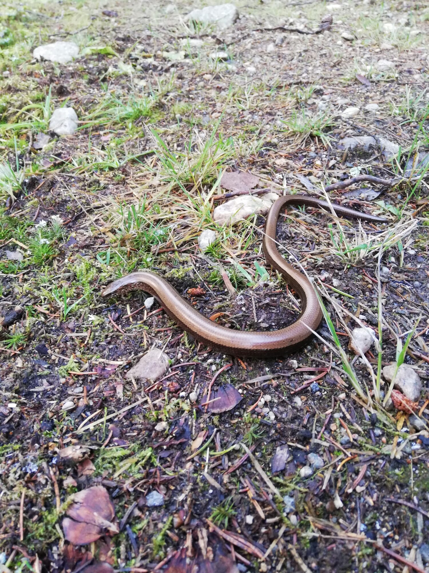 Valokuvaaja: Jaana Honkanen