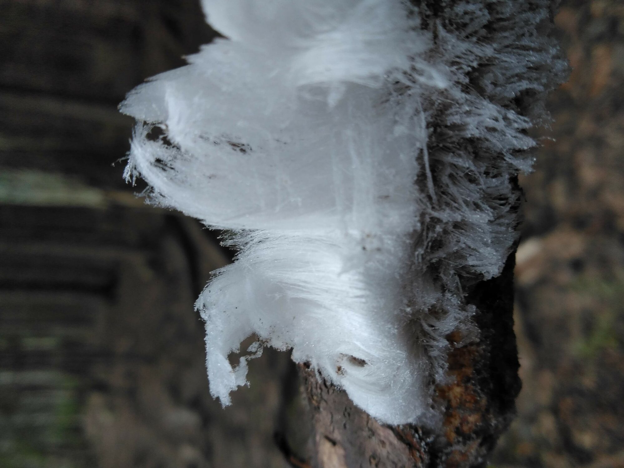 Valokuvaaja: Paula Kareinen