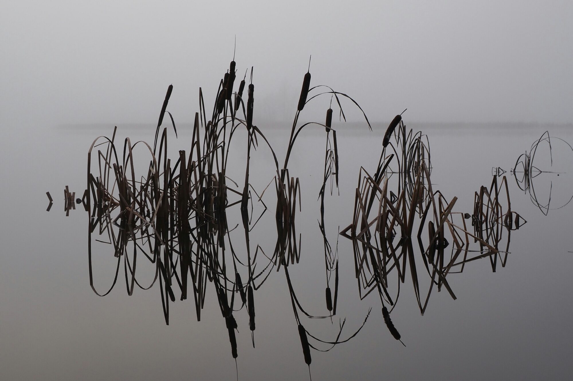 Valokuvaaja: Mikkola Irma Valokuvaaja: Mikkola Irma