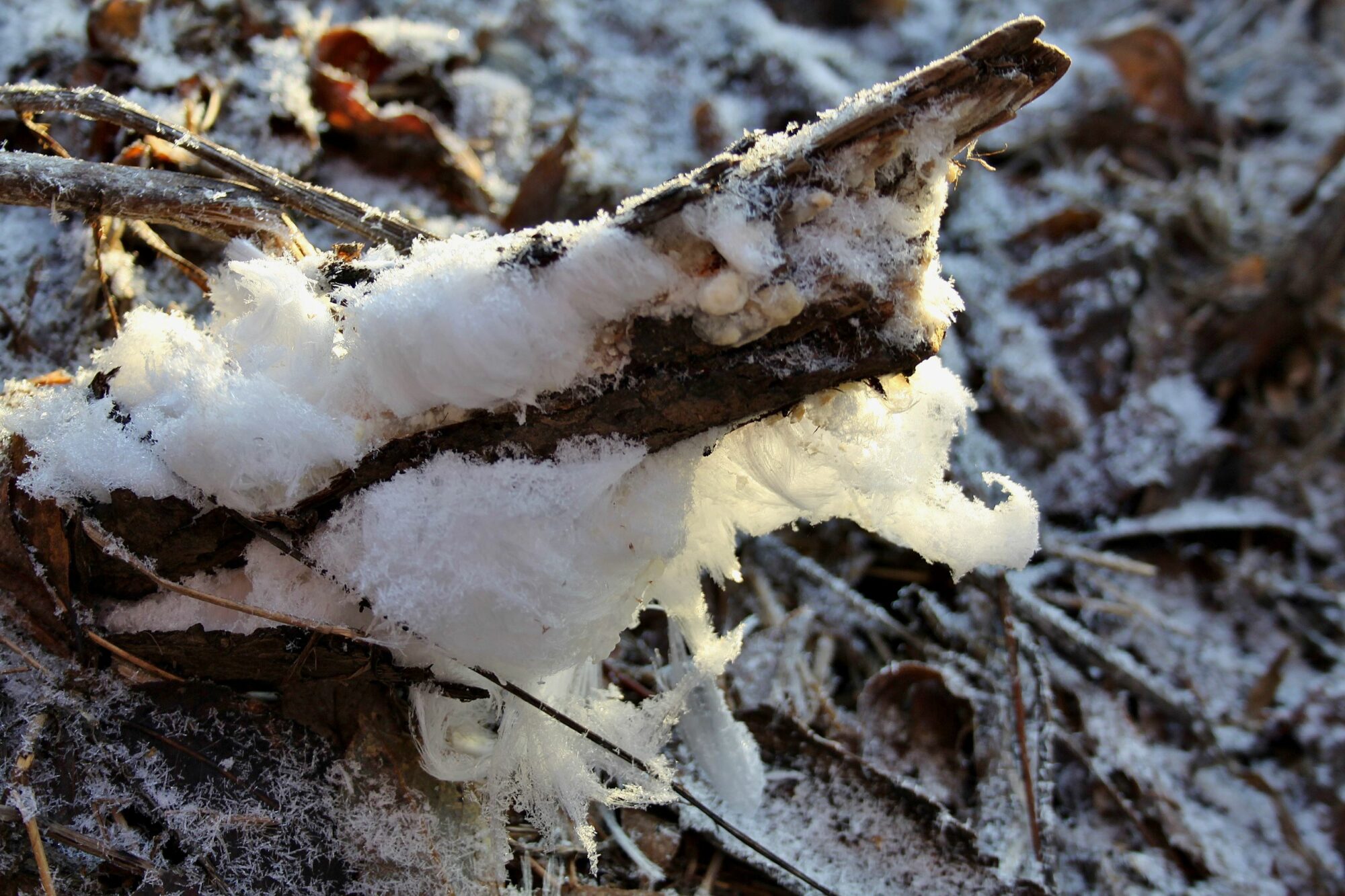 Valokuvaaja: Pirkko Siukonen
