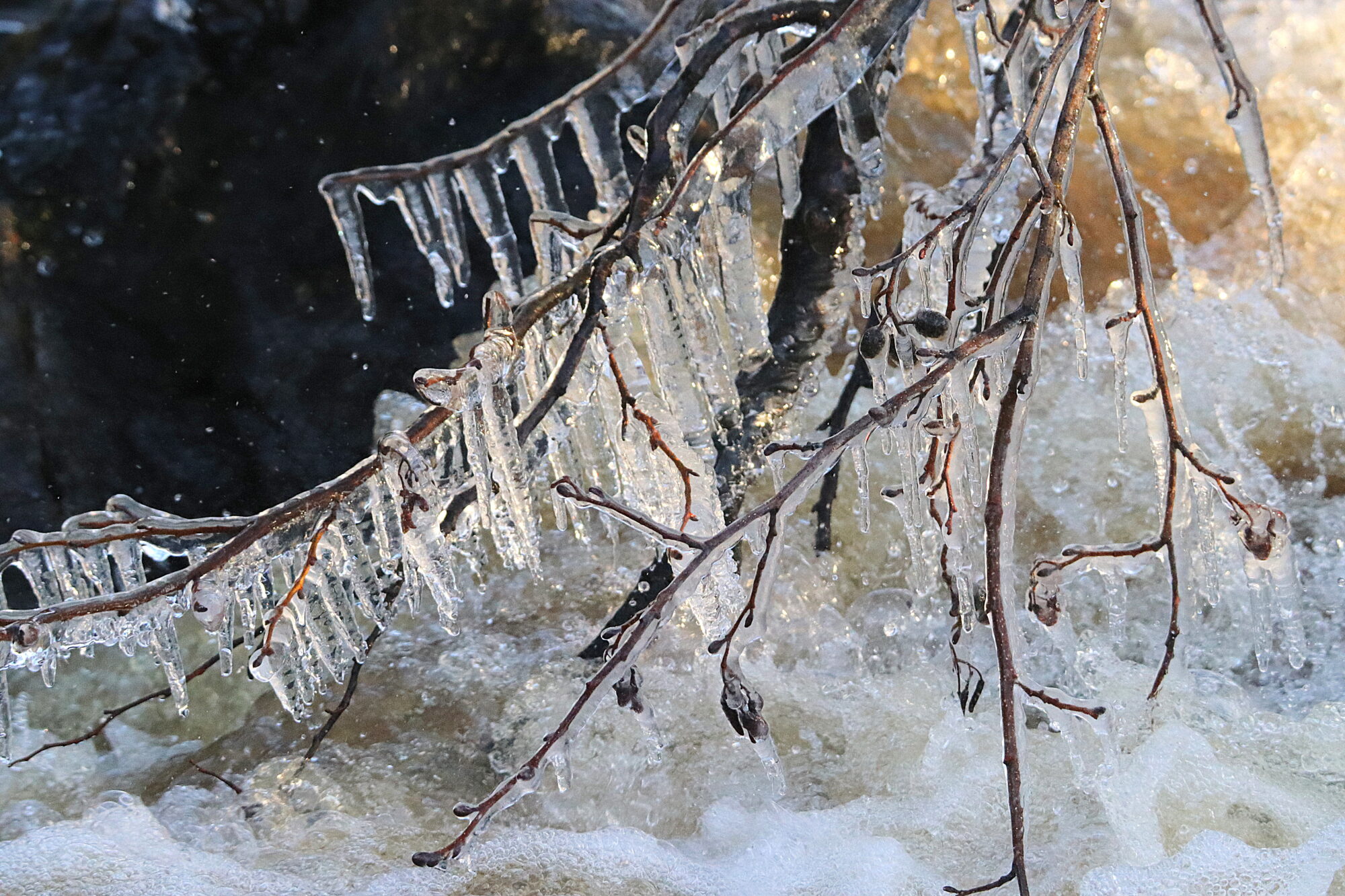 Valokuvaaja: Irja Lehtinen