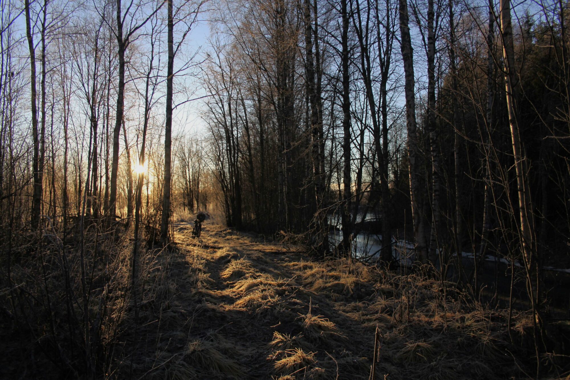 Valokuvaaja: Pirkko Siukonen