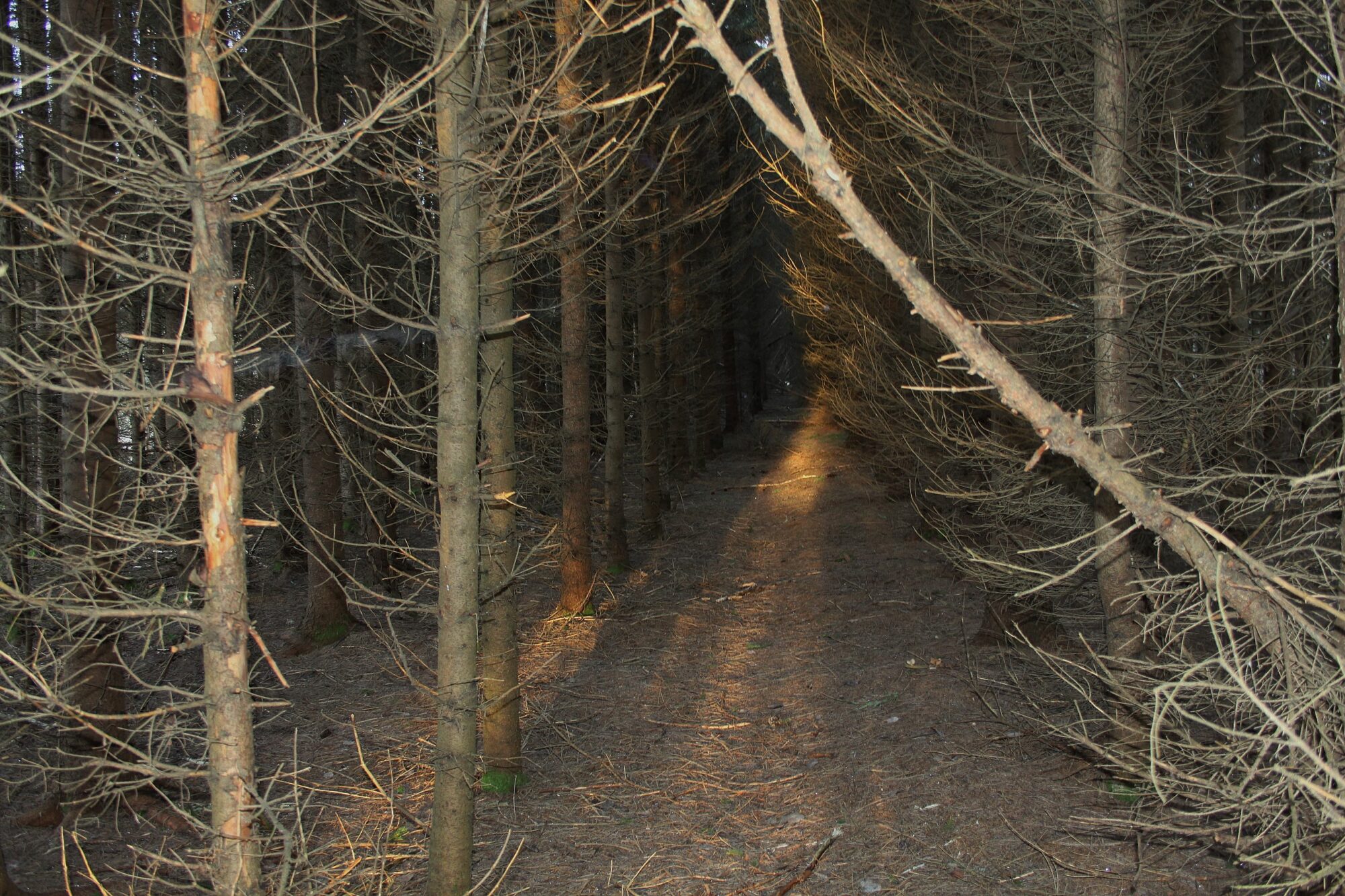 Valokuvaaja: Pirkko Siukonen