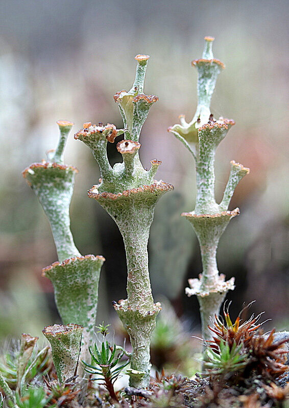 Valokuvaaja: Hannu Rasiranta