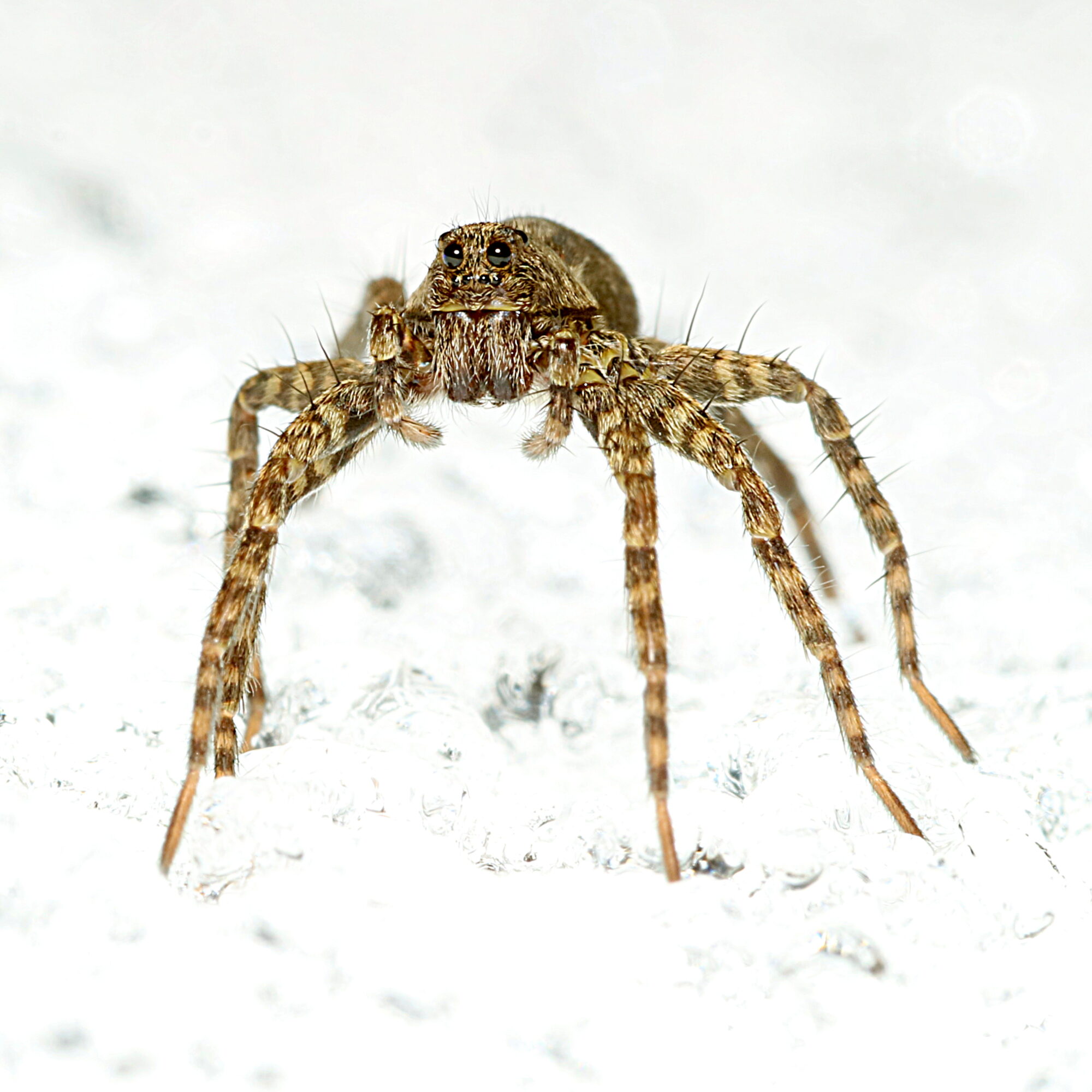 Valokuvaaja: Hannu Rasiranta