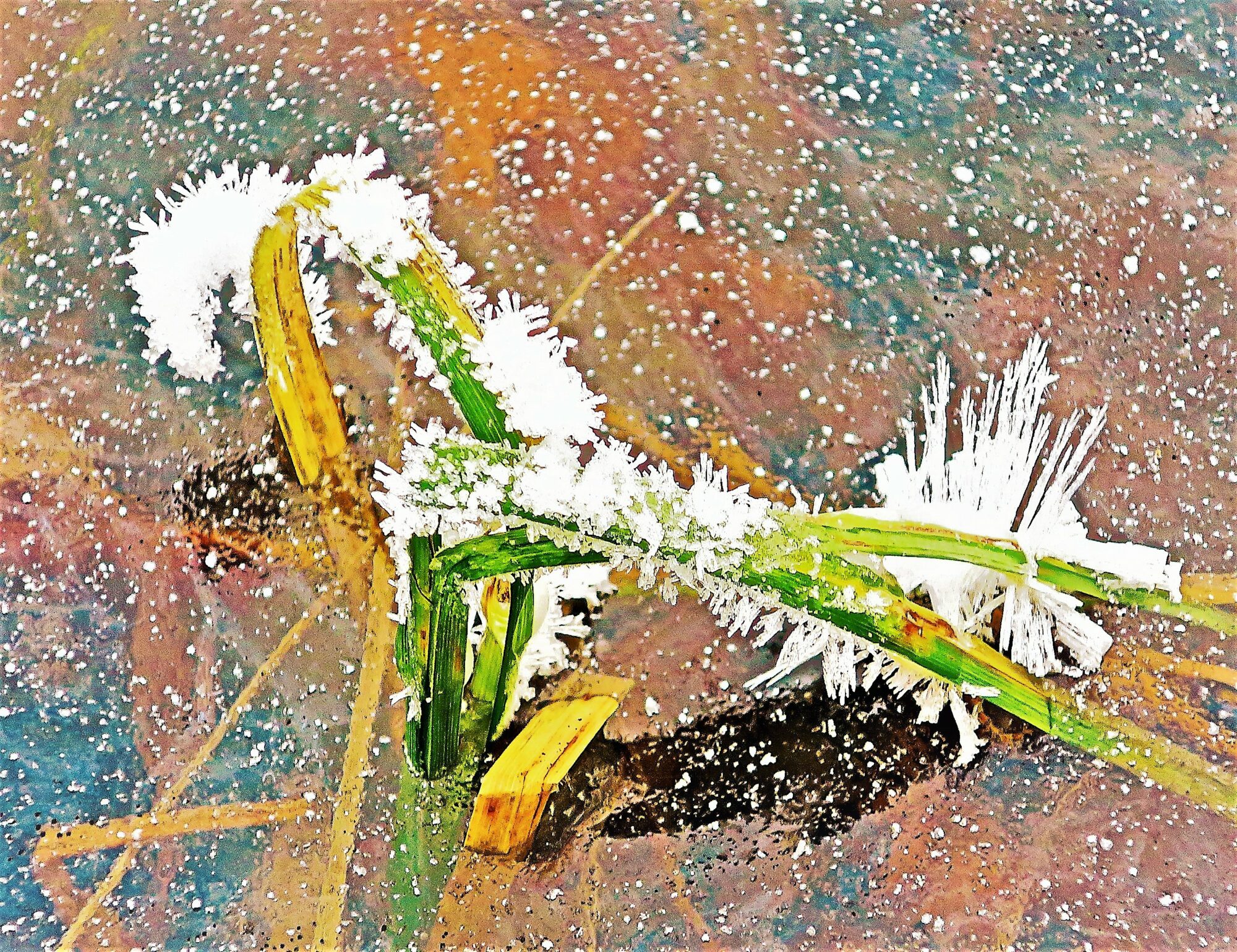 Valokuvaaja: Arto Alasuutari Valokuvaaja: Arto Alasuutari