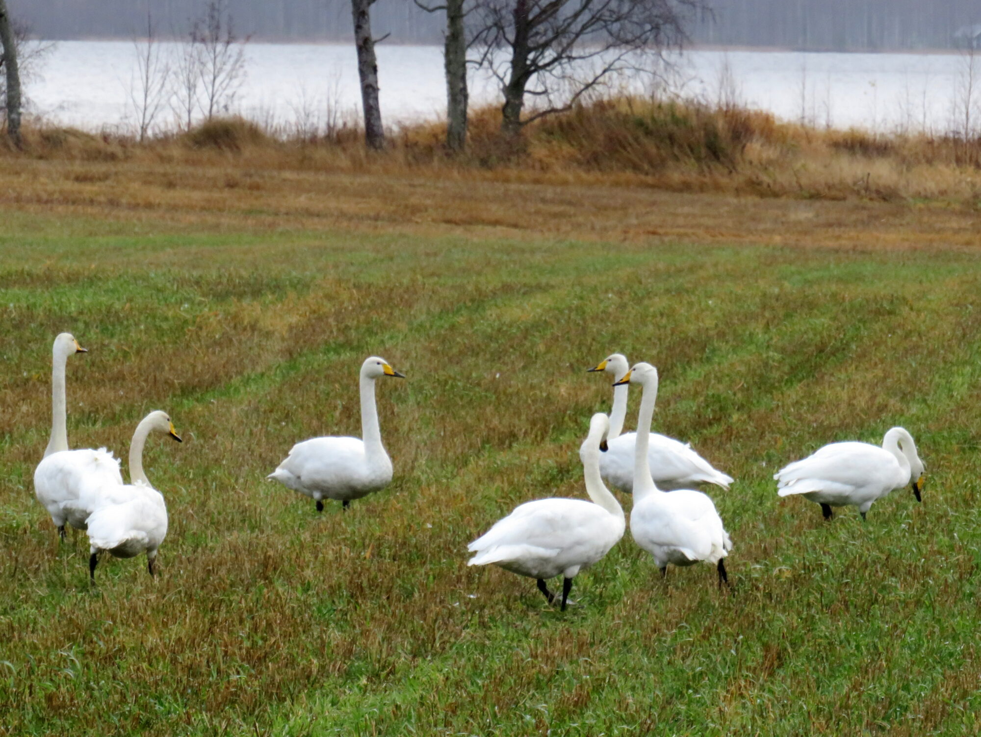 Valokuvaaja: Sirkka Ruotoistenmäki