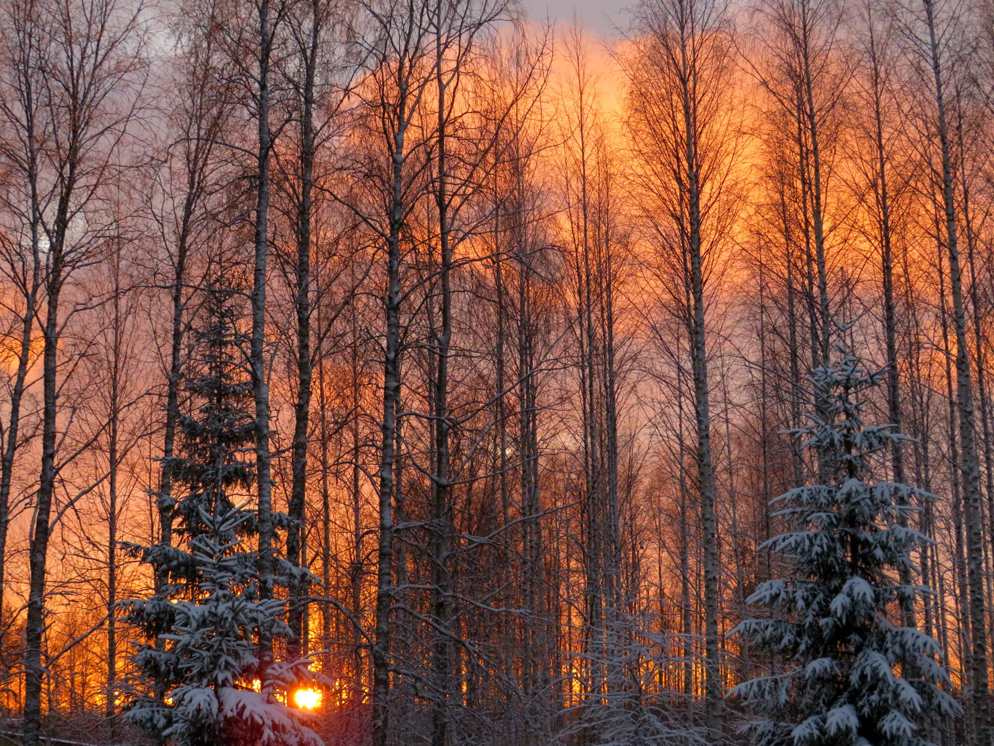 Valokuvaaja: Sirkka Ruotoistenmäki
