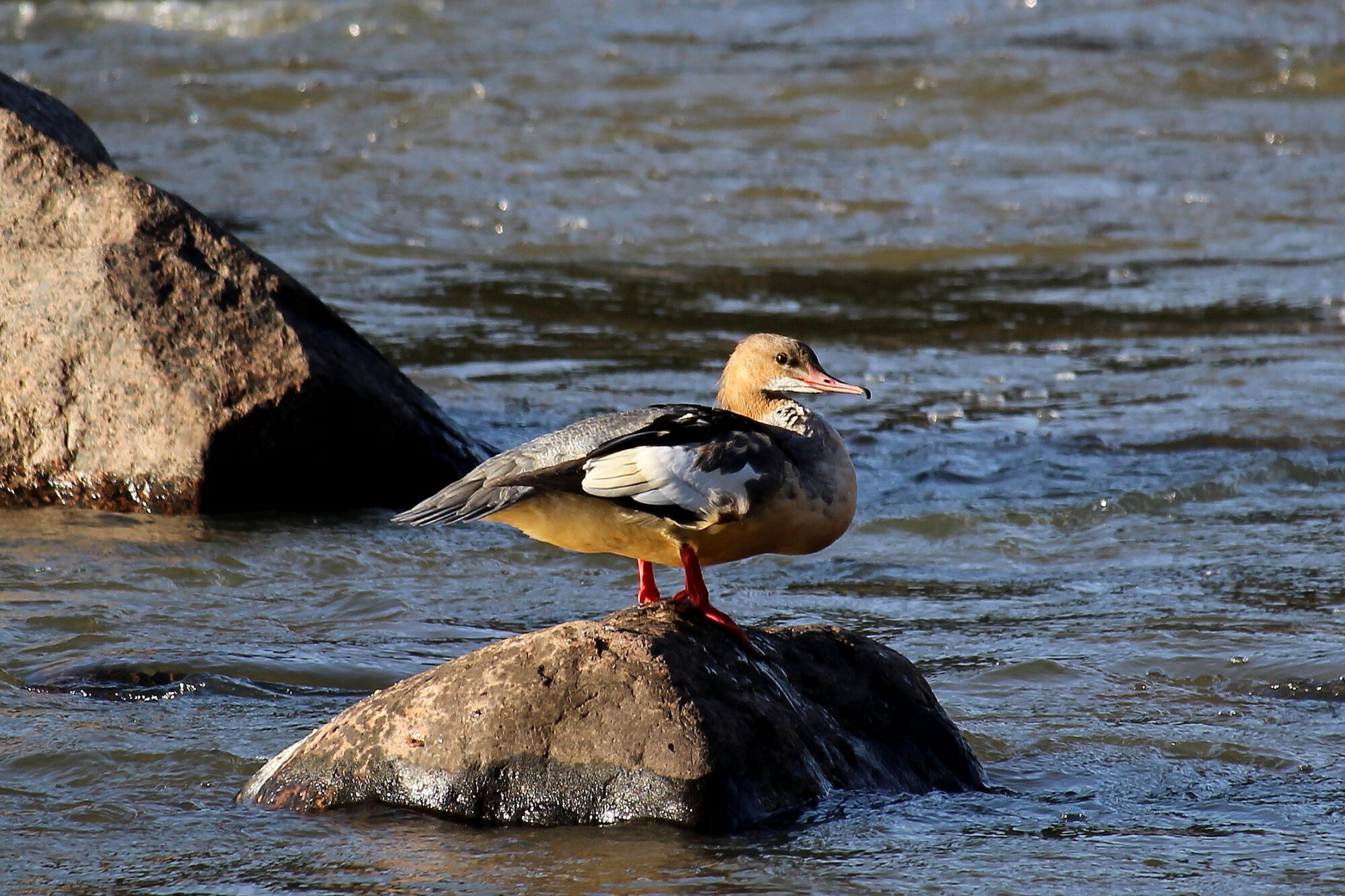Valokuvaaja: Kirsi-Marja Joenpolvi
