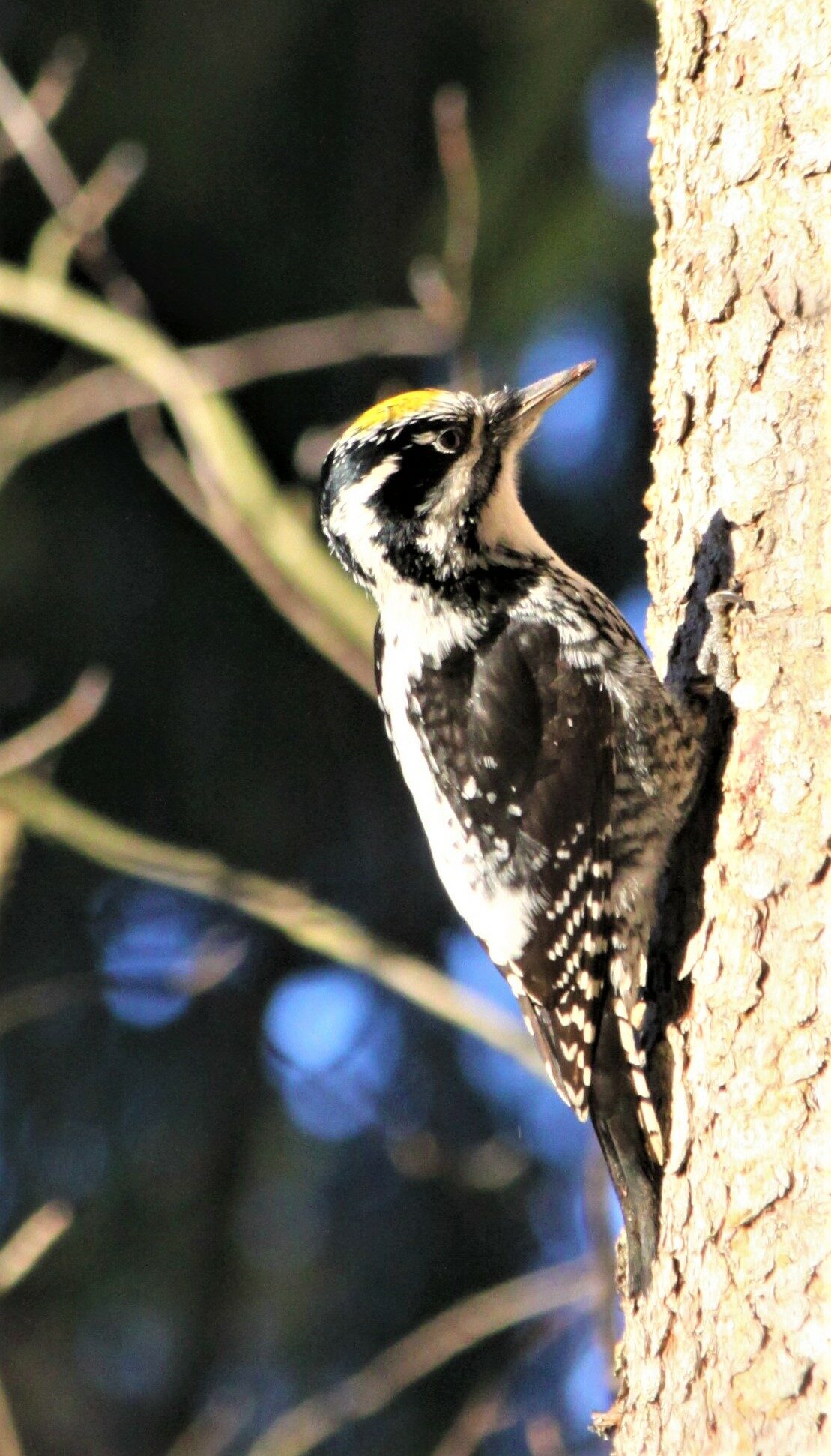 Valokuvaaja: Kaarina Heiskanen