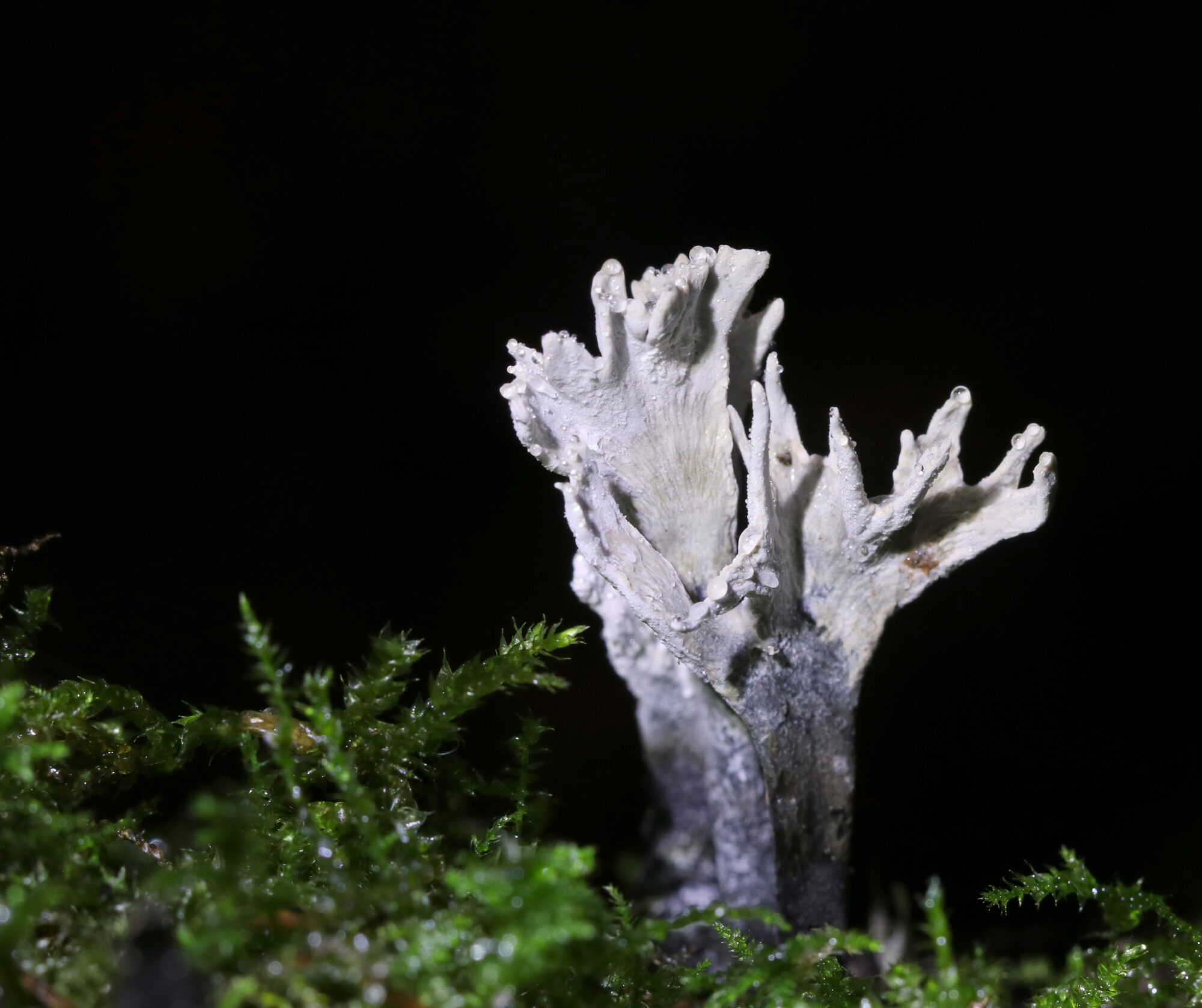 Valokuvaaja: Eija Soimola