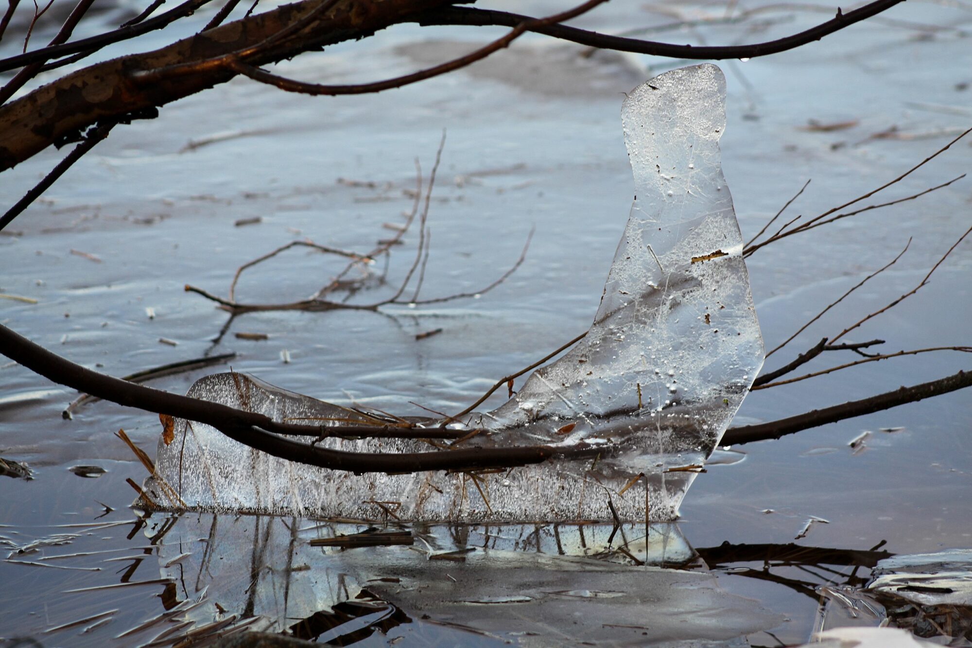 Valokuvaaja: Pirkko Siukonen