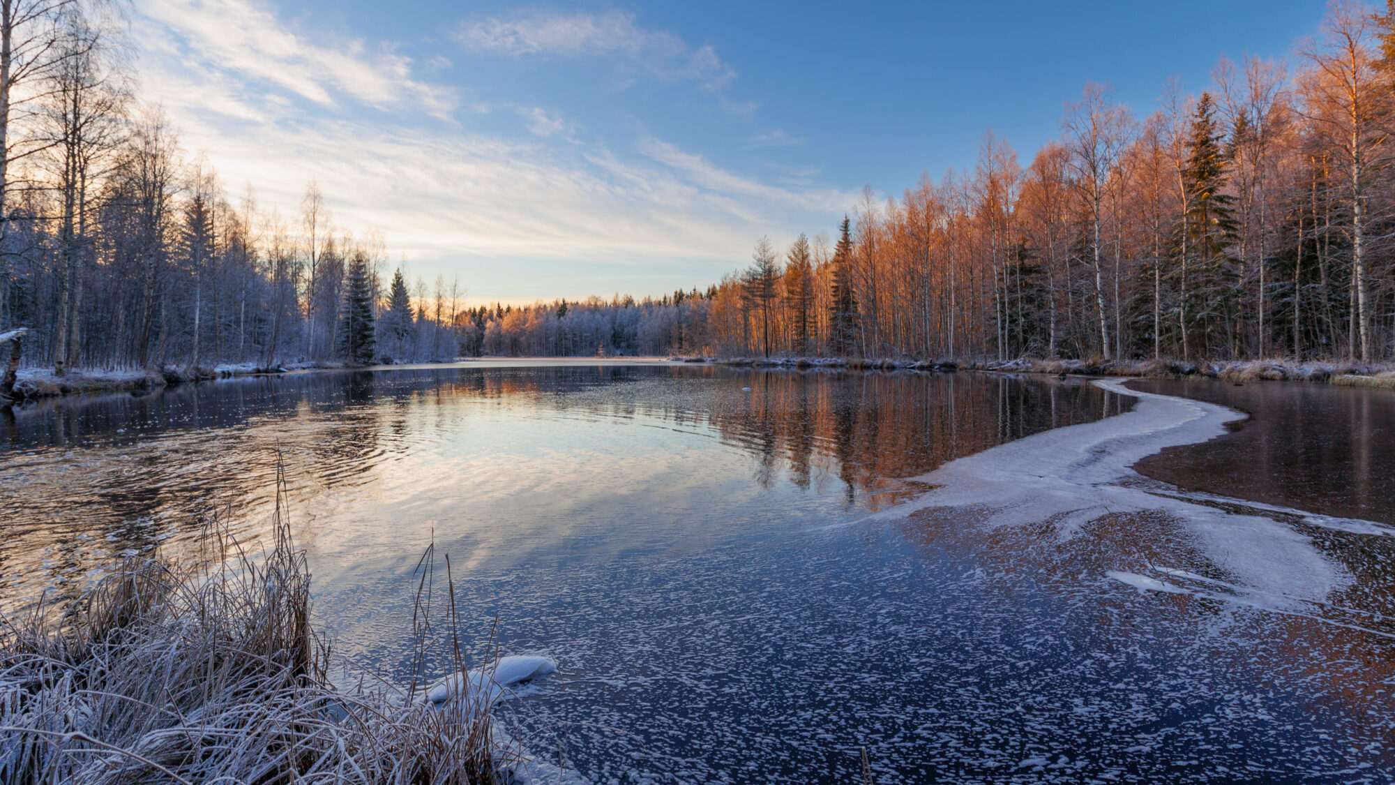 Valokuvaaja: Tommi Kujala
