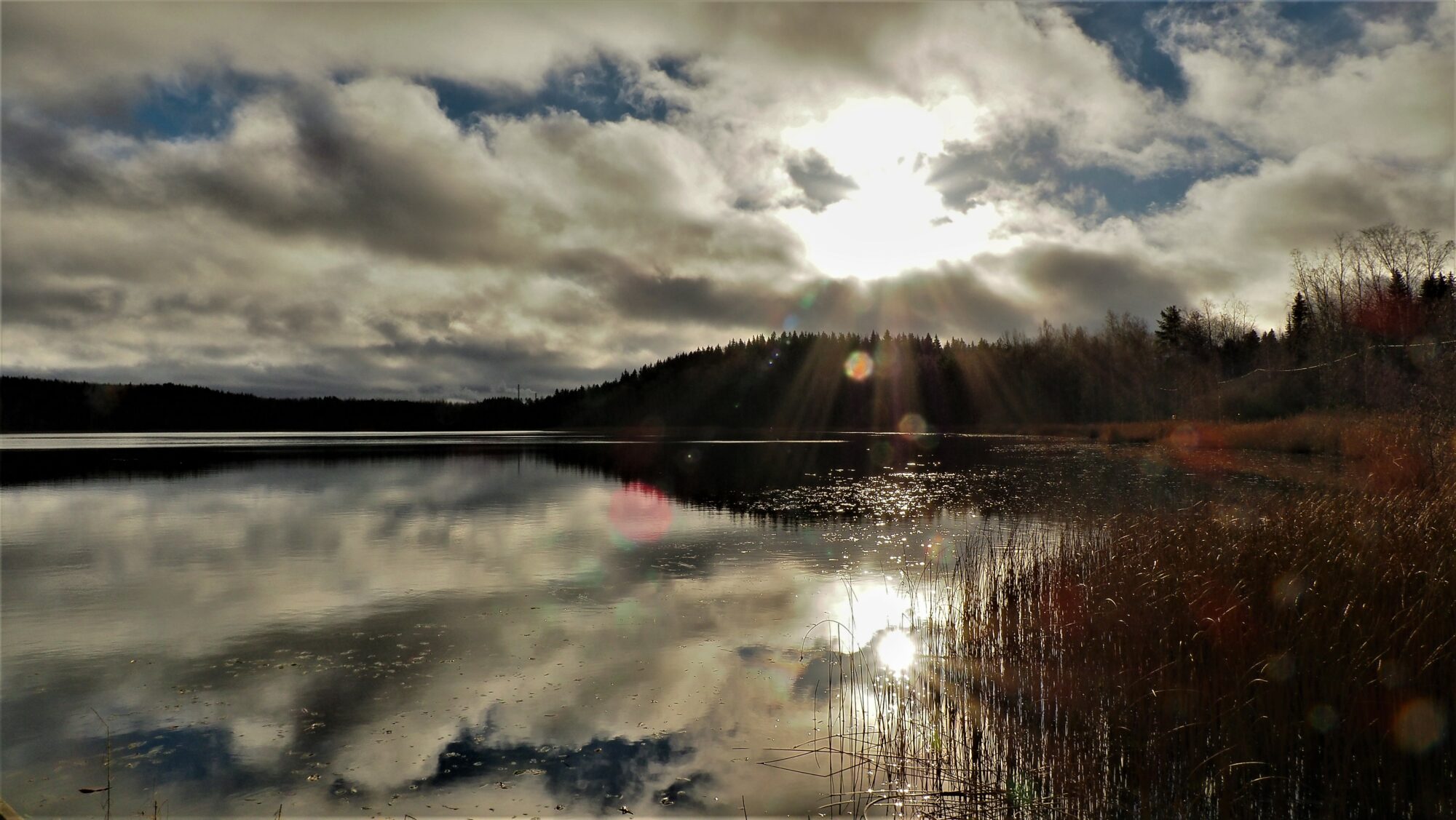 Valokuvaaja: Arja Valtonen