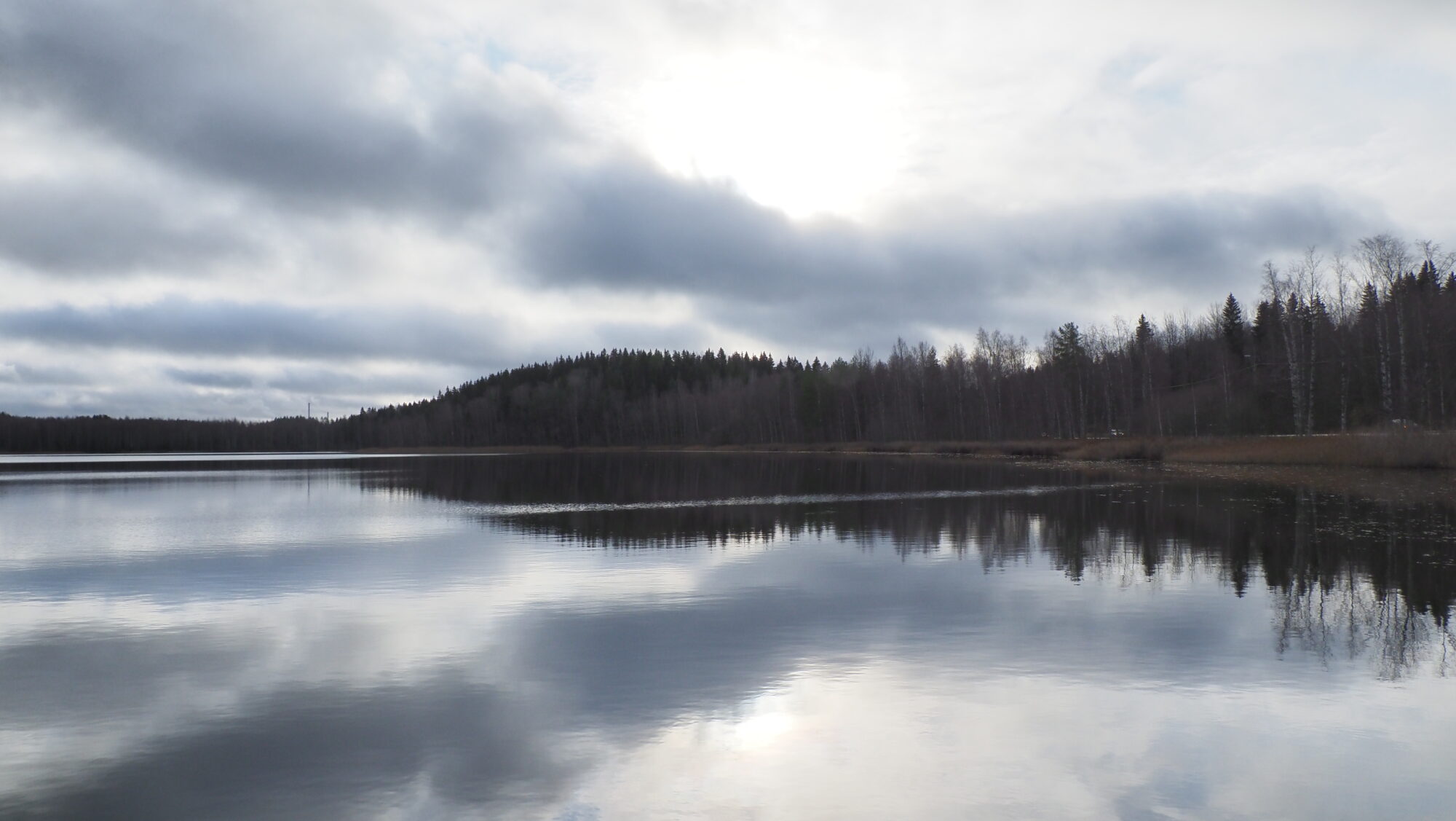 Valokuvaaja: Arja Valtonen