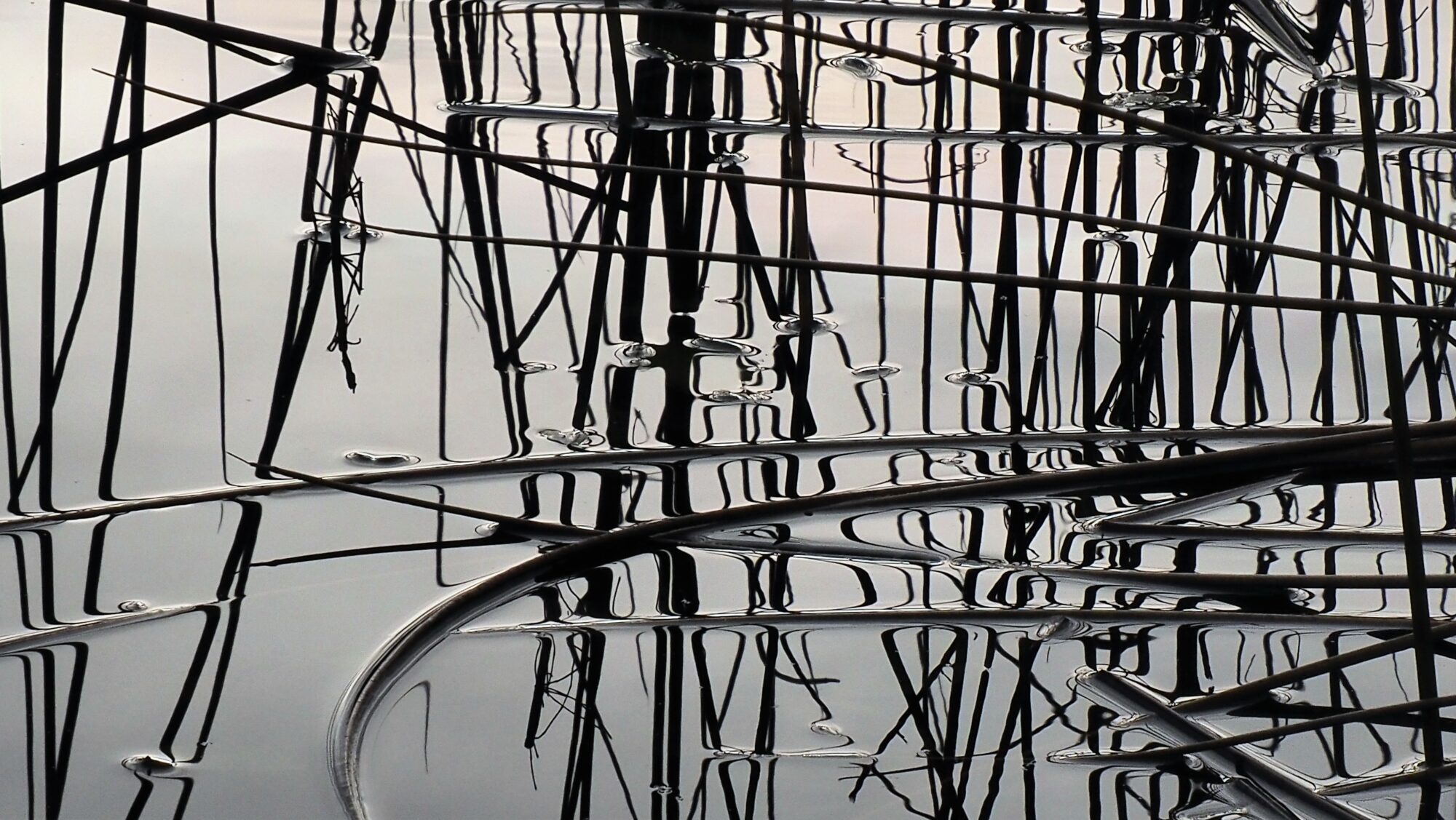 Valokuvaaja: Arja Valtonen