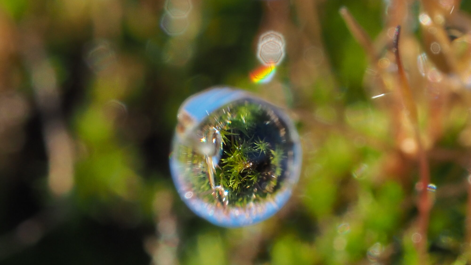 Valokuvaaja: Martti Valtonen Valokuvaaja: Martti Valtonen