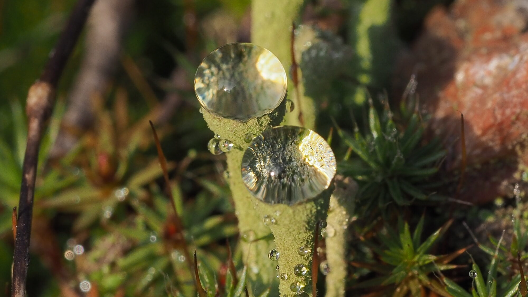 Valokuvaaja: Martti Valtonen