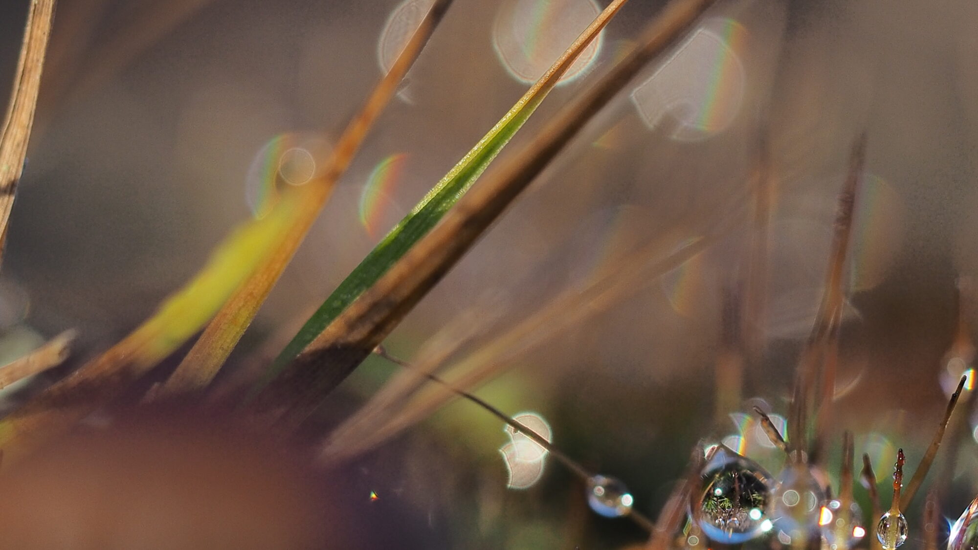 Valokuvaaja: Martti Valtonen