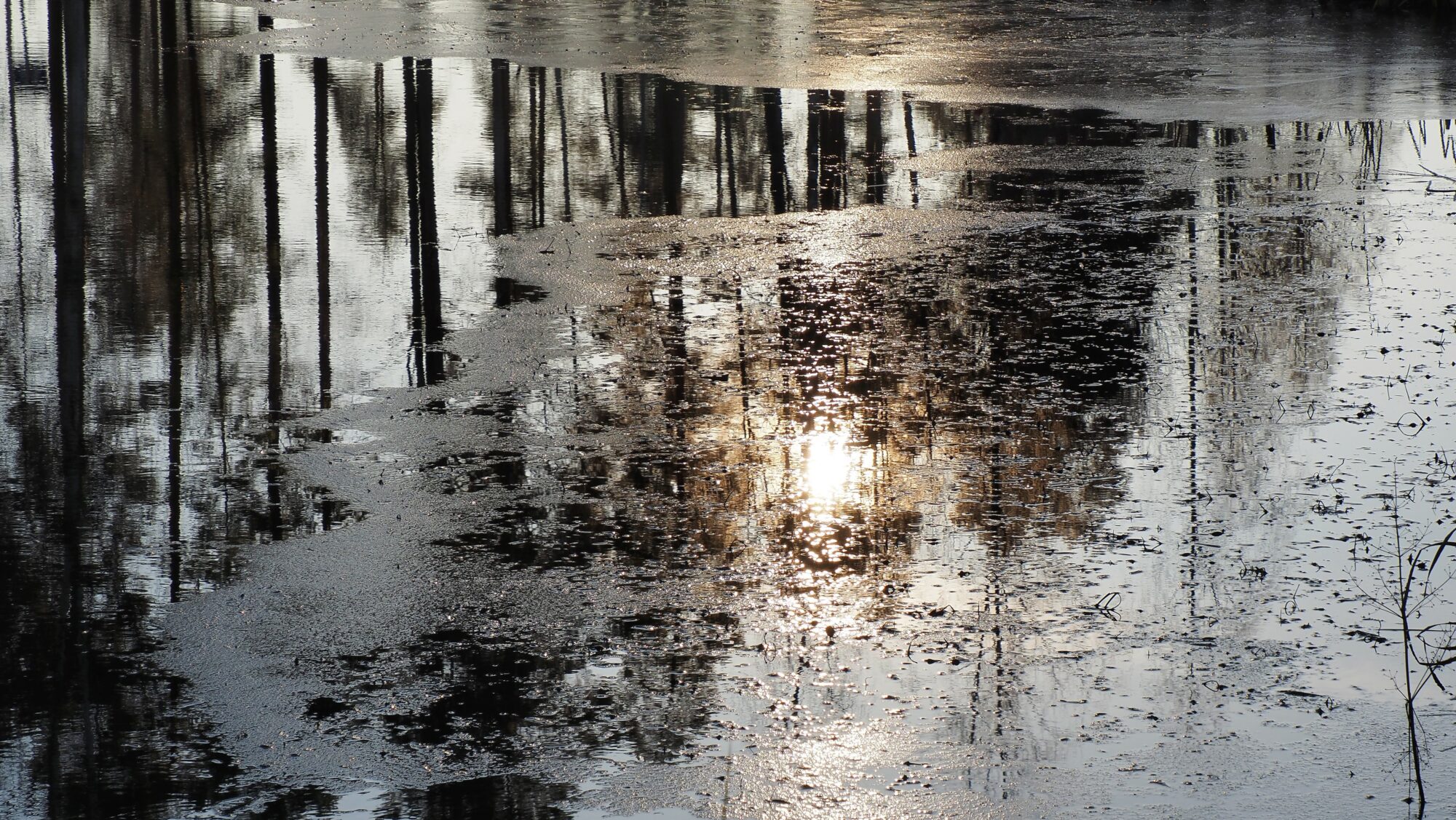 Valokuvaaja: Arja Valtonen