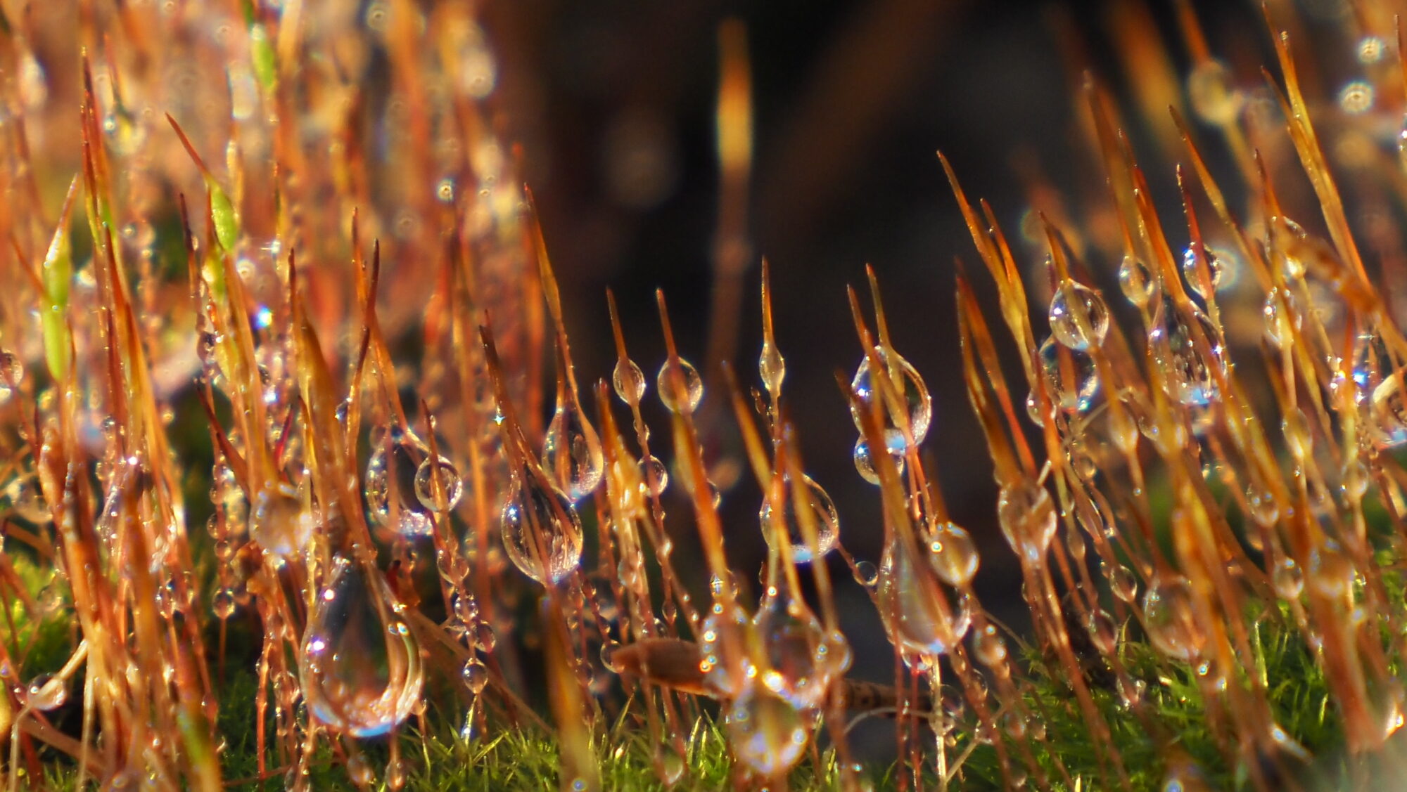 Valokuvaaja: Arja Valtonen Valokuvaaja: Arja Valtonen