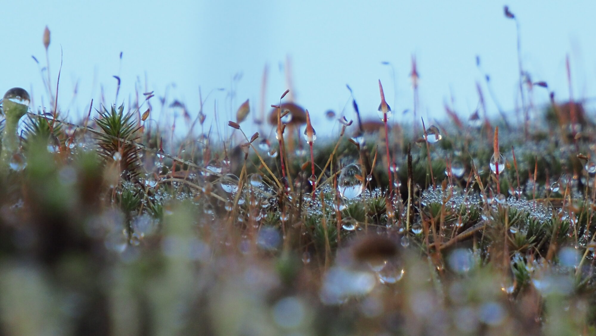 Valokuvaaja: Arja Valtonen