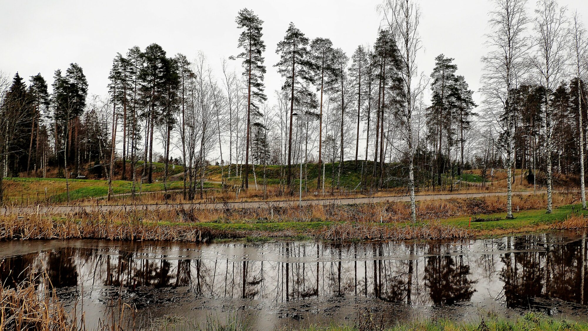 Valokuvaaja: Arja Valtonen