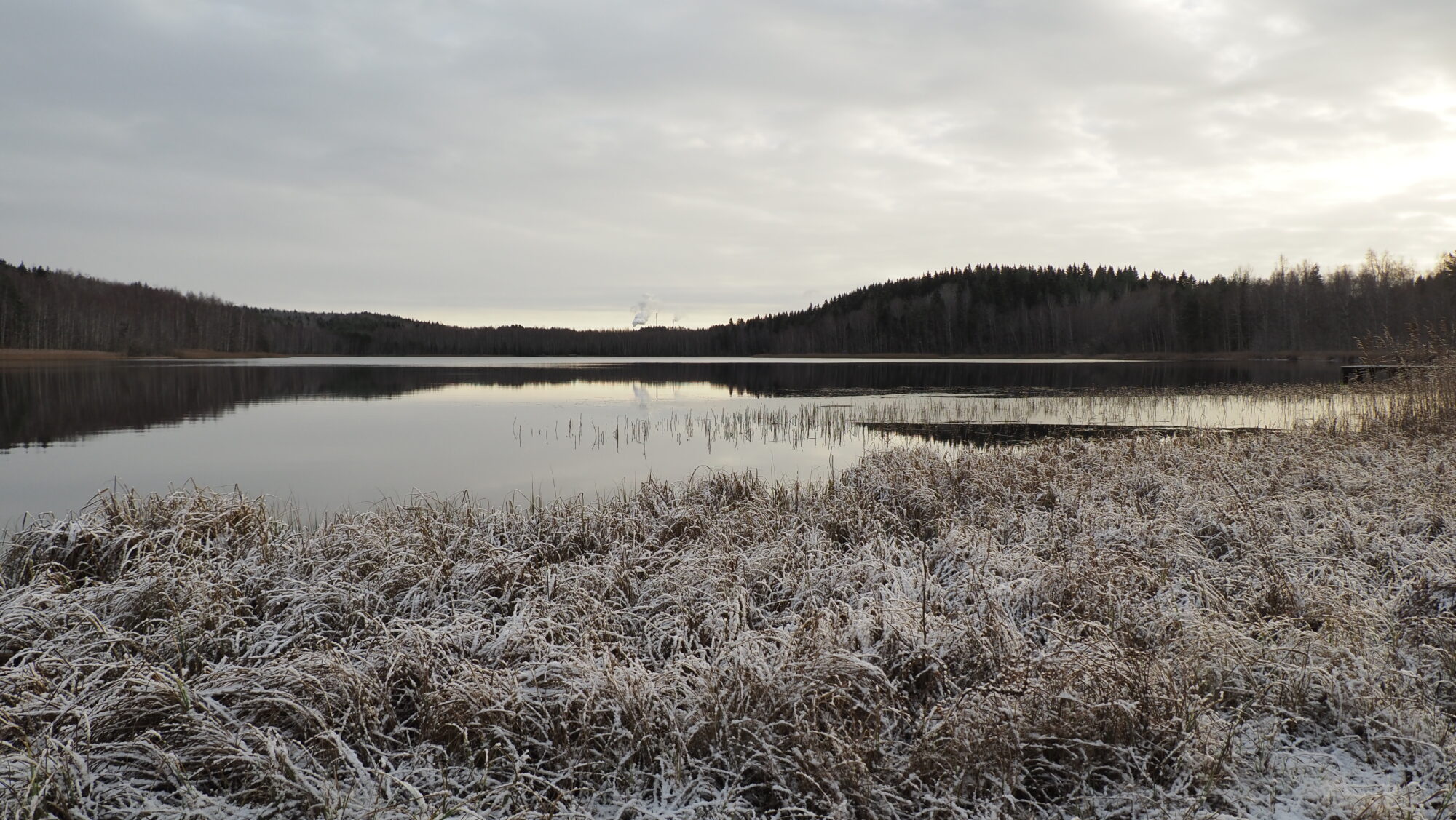 Valokuvaaja: Arja Valtonen Valokuvaaja: Arja Valtonen