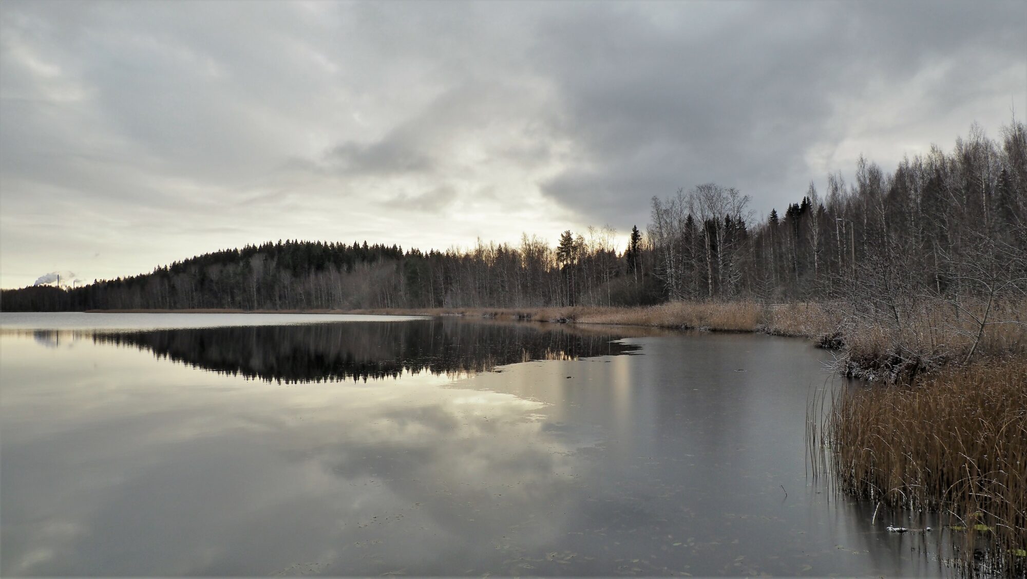 Valokuvaaja: Arja Valtonen Valokuvaaja: Arja Valtonen