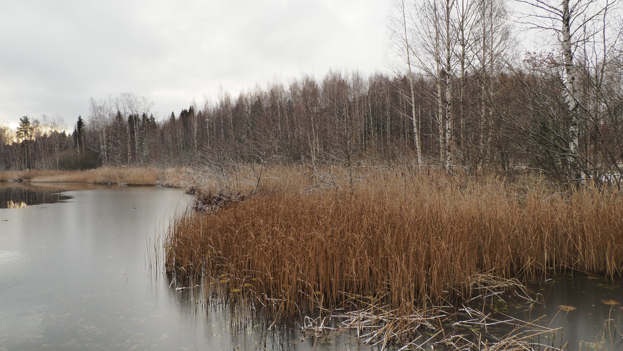 Valokuvaaja: Arja Valtonen