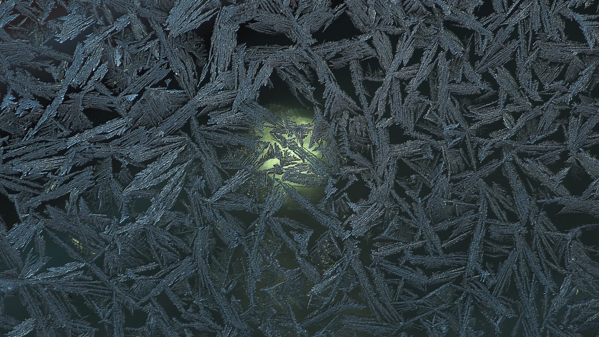 Valokuvaaja: Arja Valtonen