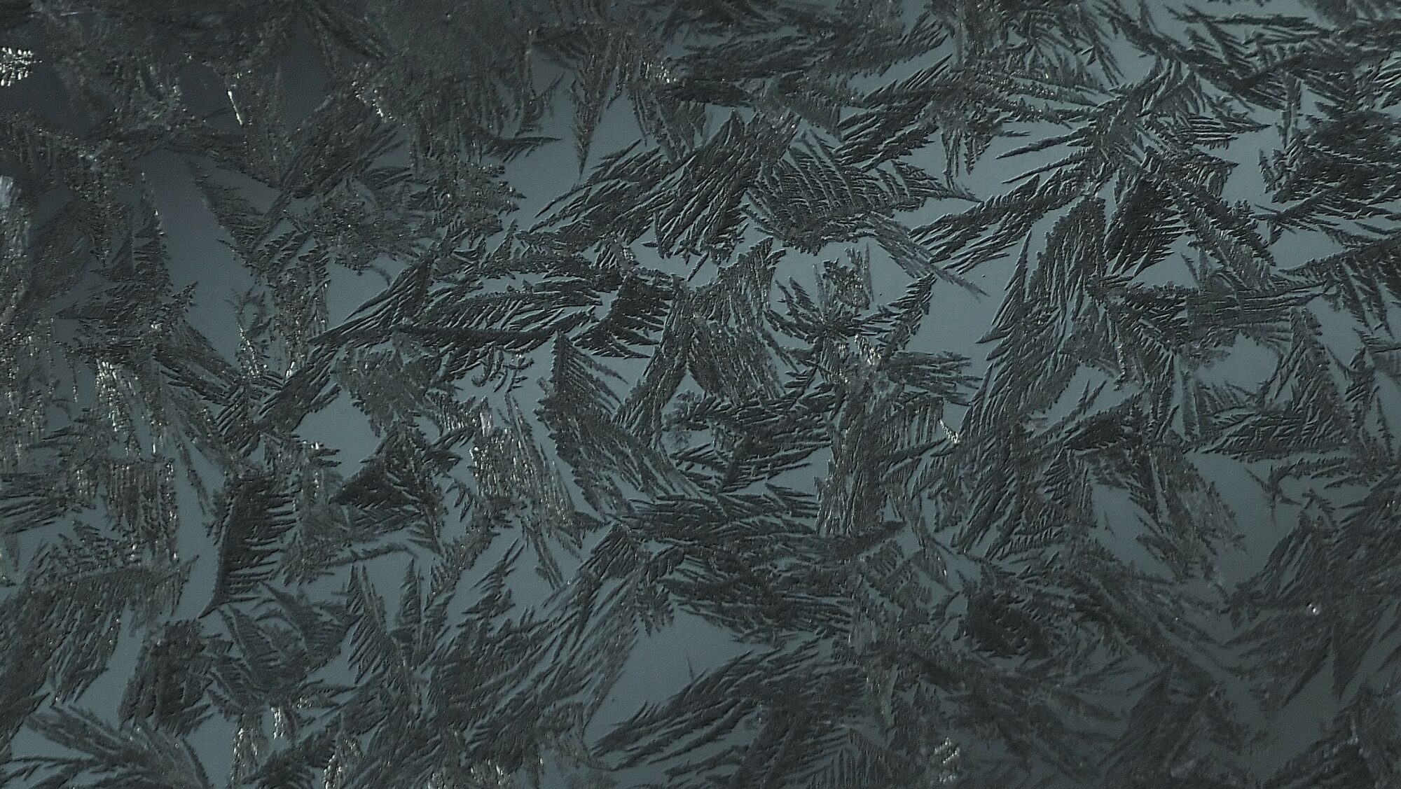 Valokuvaaja: Arja Valtonen