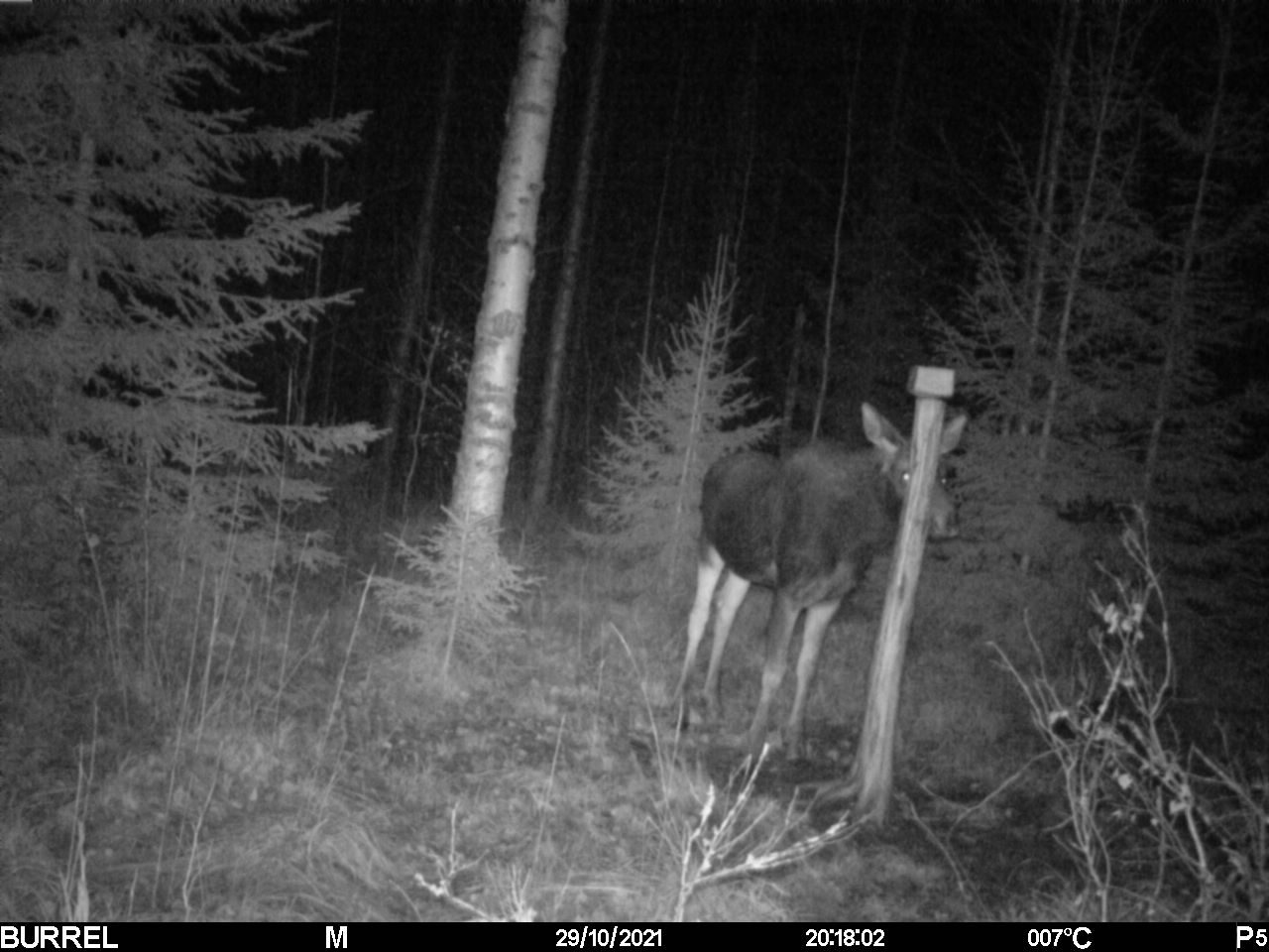 Valokuvaaja: Hannu Rissanen