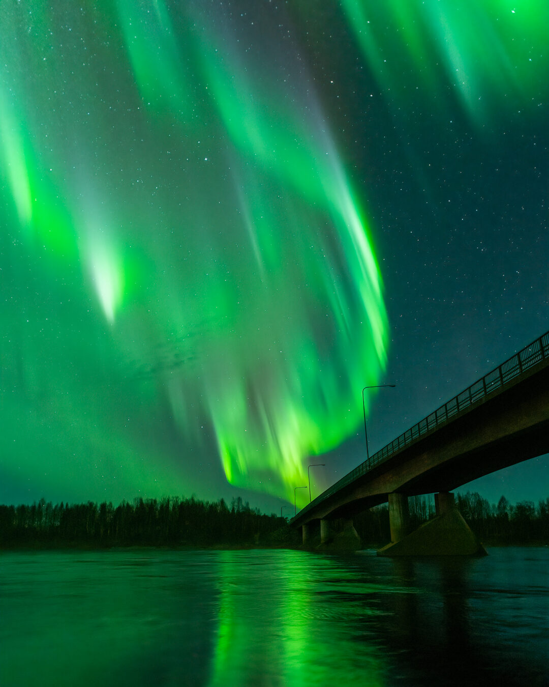 Valokuvaaja: Janne Kukkola Valokuvaaja: Janne Kukkola