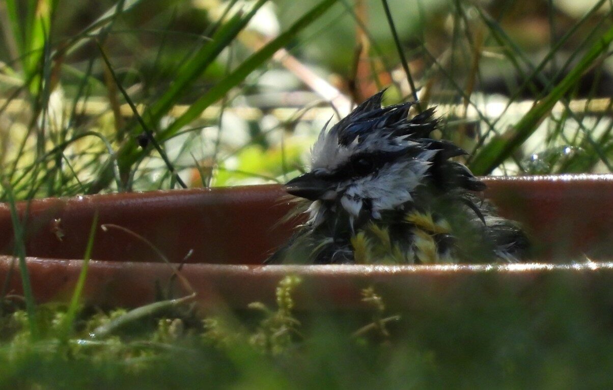 Valokuvaaja: Jorma Eskola