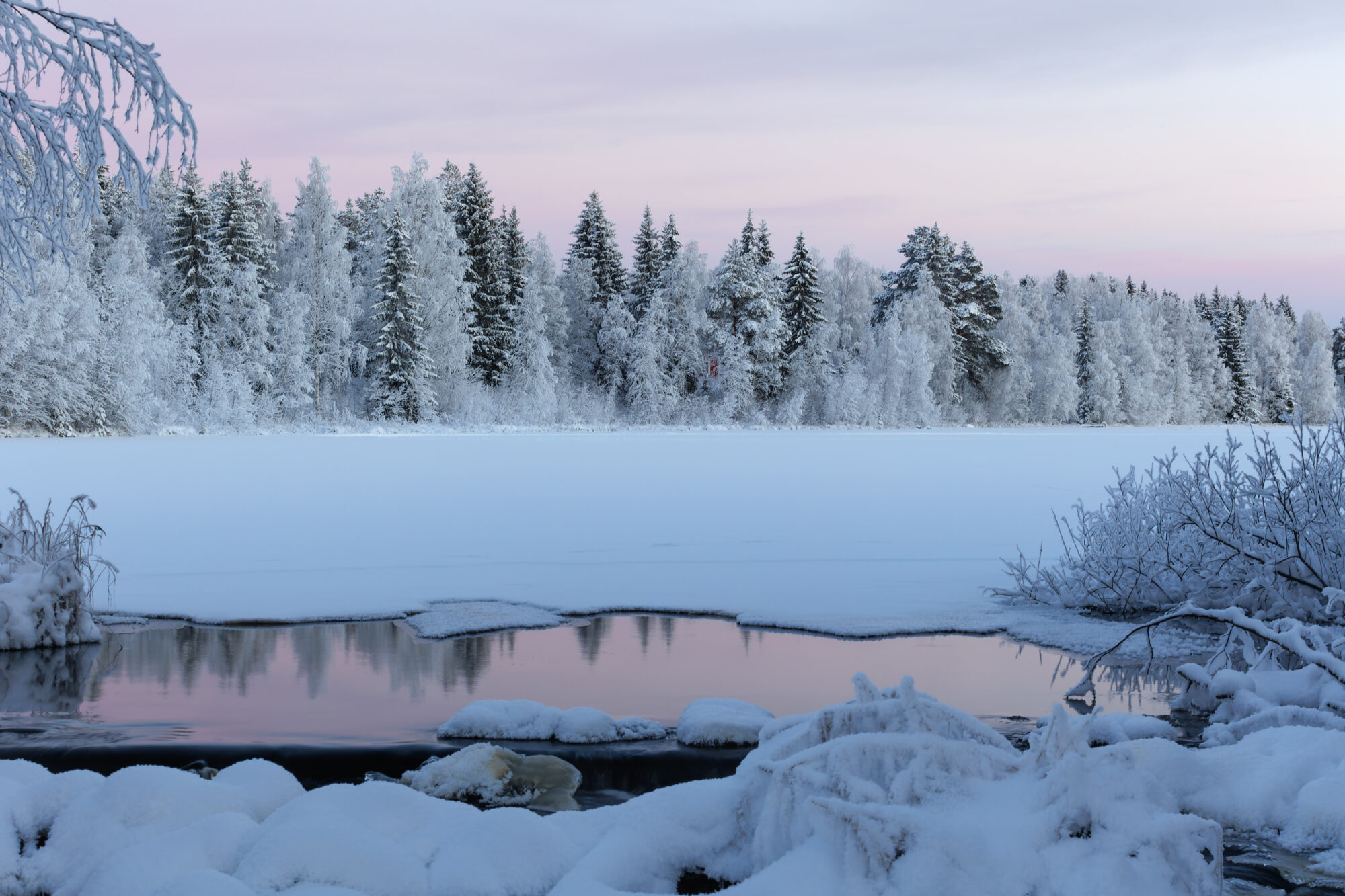 Valokuvaaja: Tommi Kujala