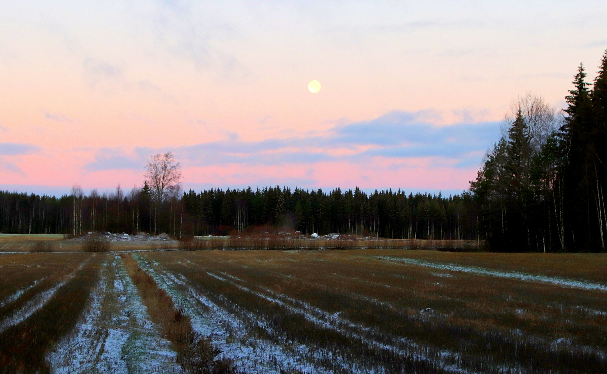 Valokuvaaja: sirpa jyske