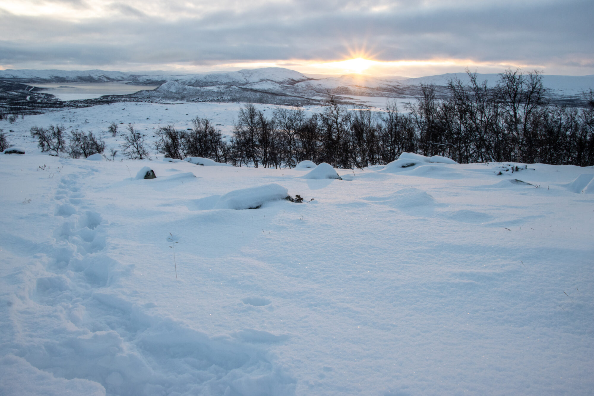 Valokuvaaja: Katri Niskanen