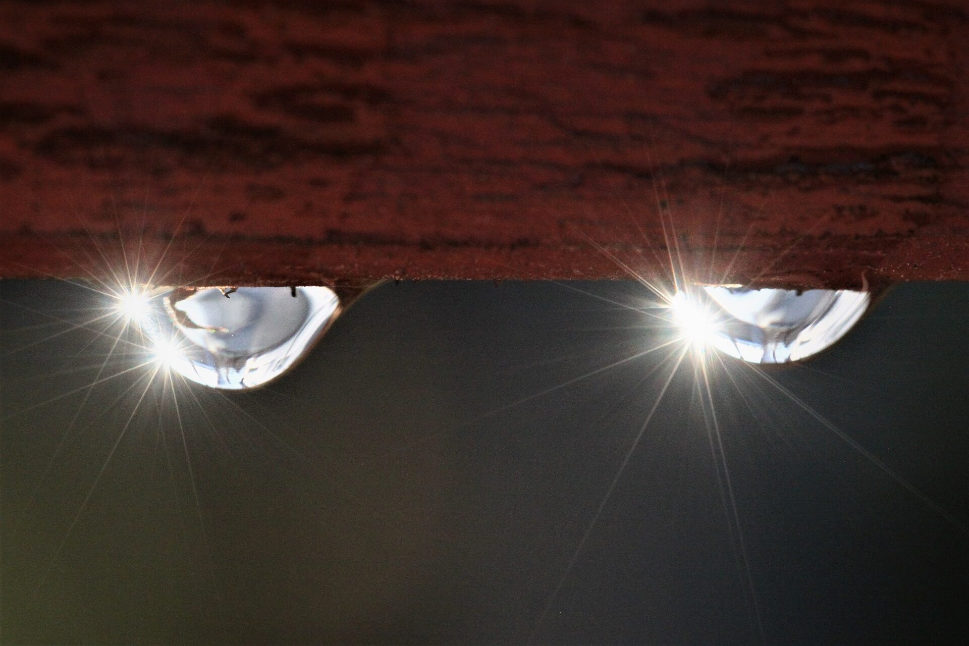 Valokuvaaja: Berndt Hannelius